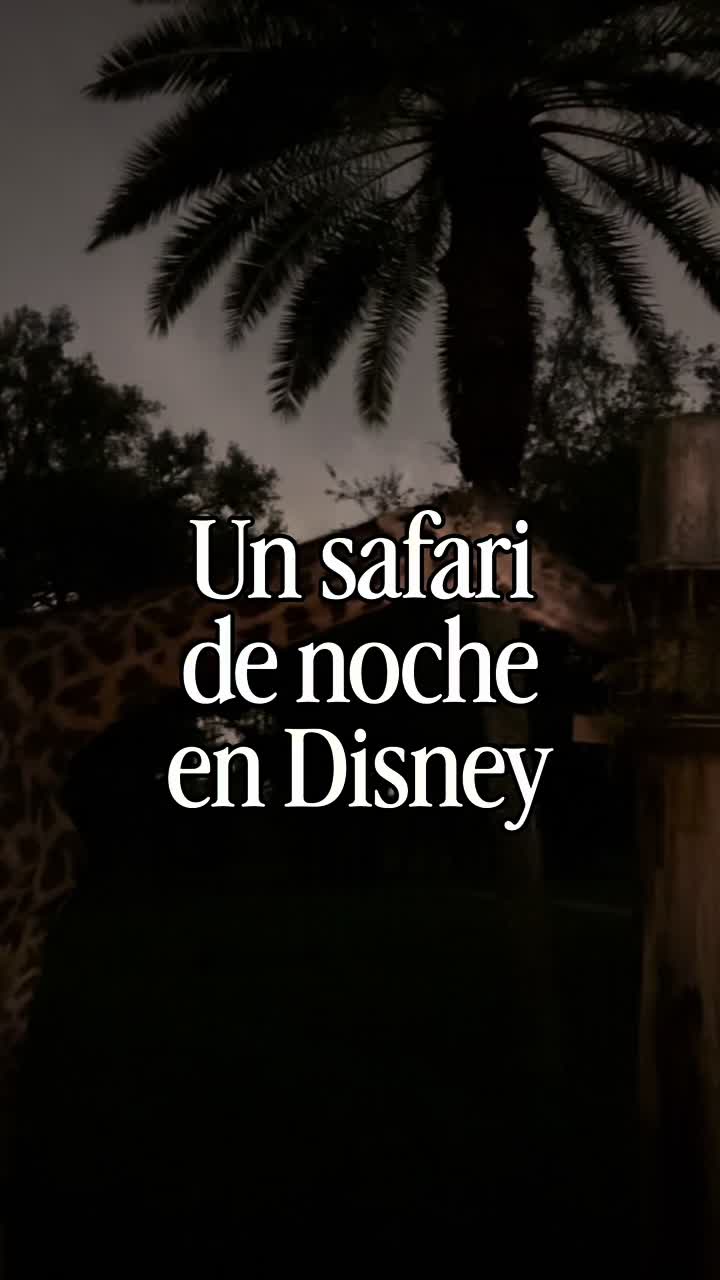 @LAURA RIVAS