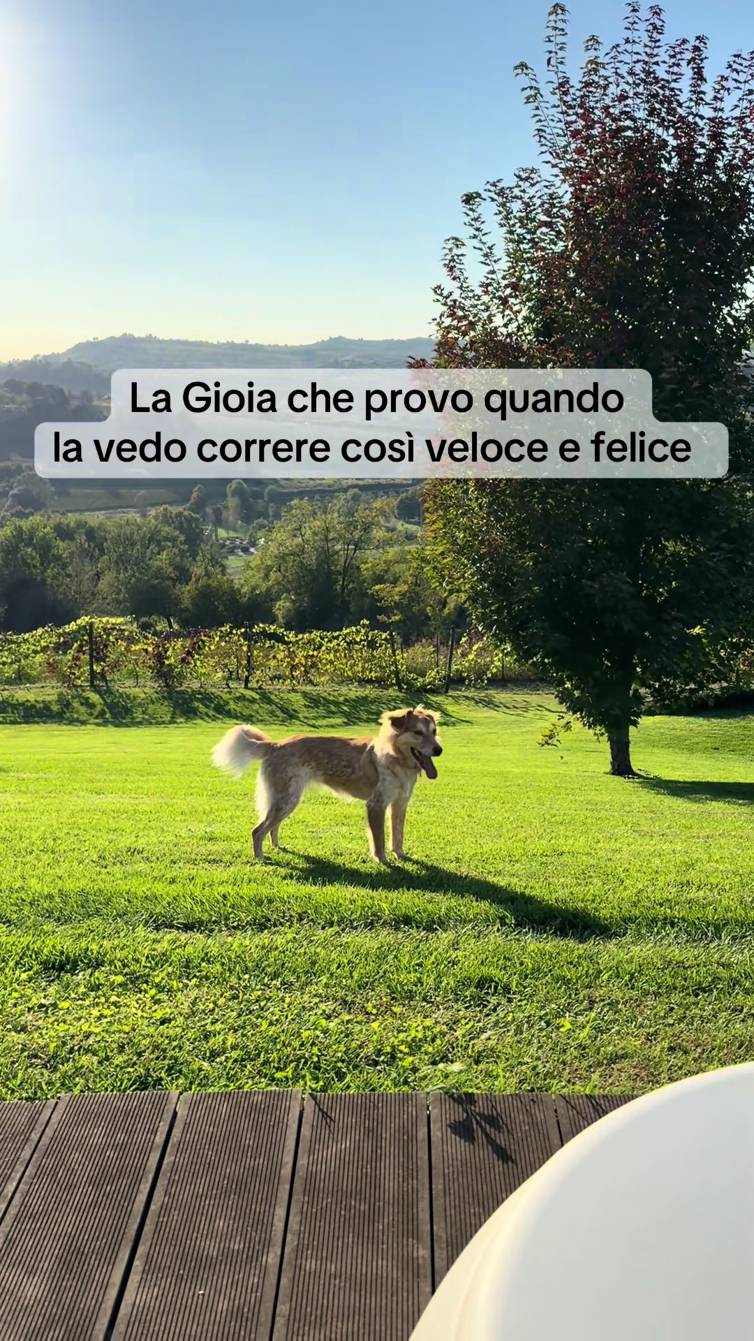 @dalisia_ds