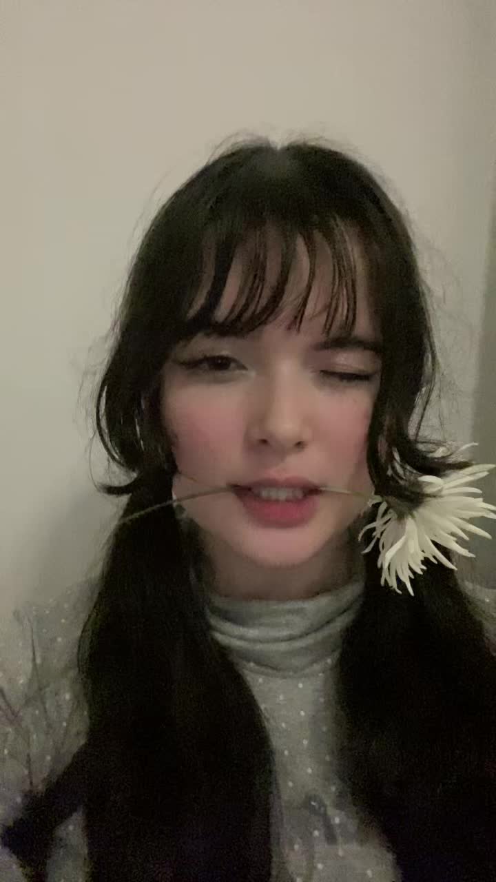 @puly ⑅ᐢ ᐢ
