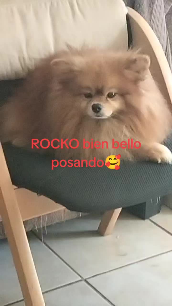 @Silvanna Lafontaynne