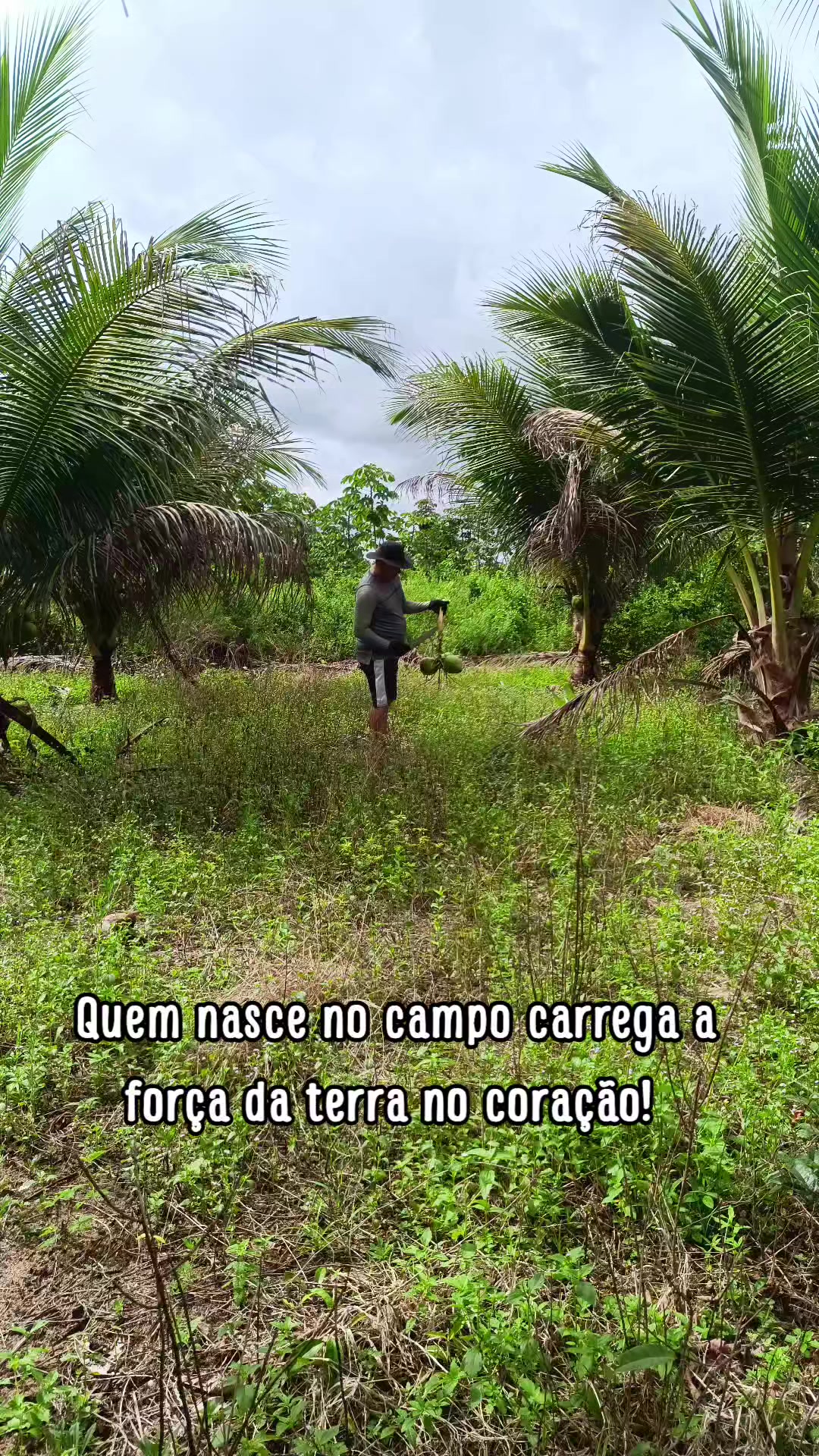 @Ivone Romão da Silva
