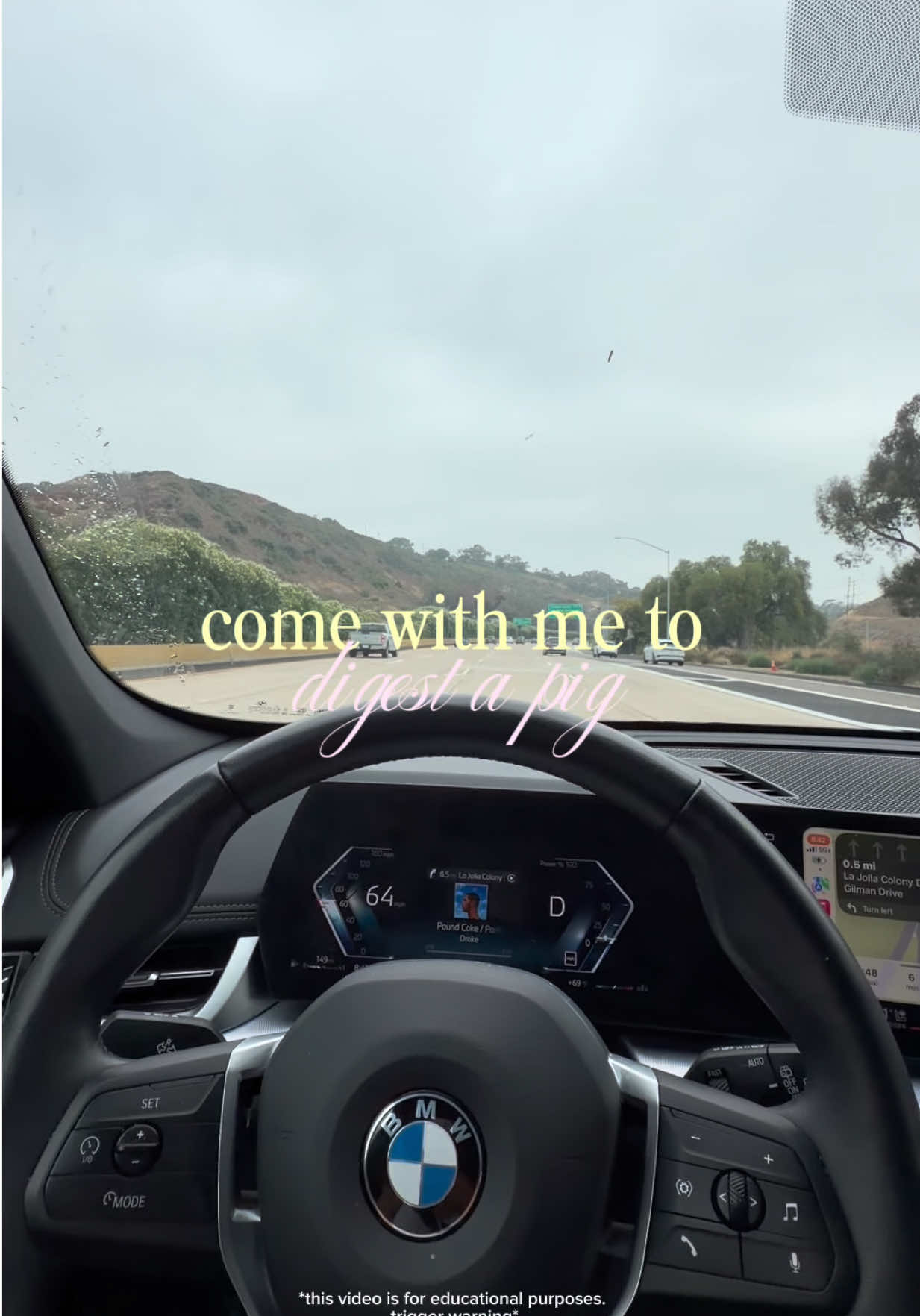 @Ariana 💌