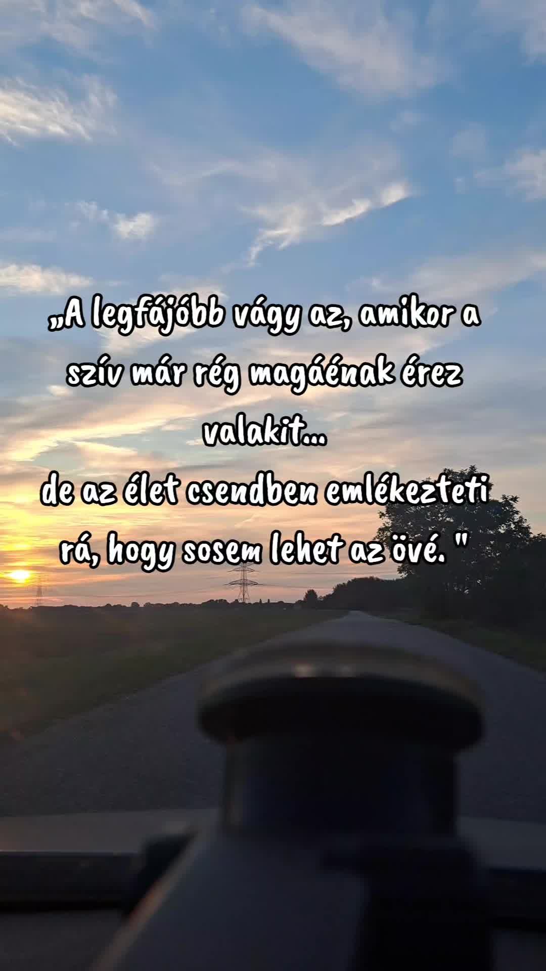 @👑Picisárika👑