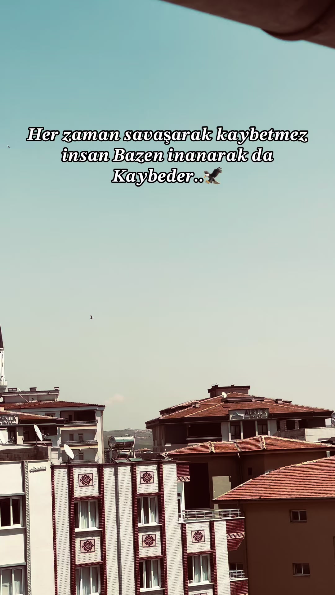 @𝙆𝙖𝙧𝙖𝙙𝙚𝙣𝙞𝙯...🦅