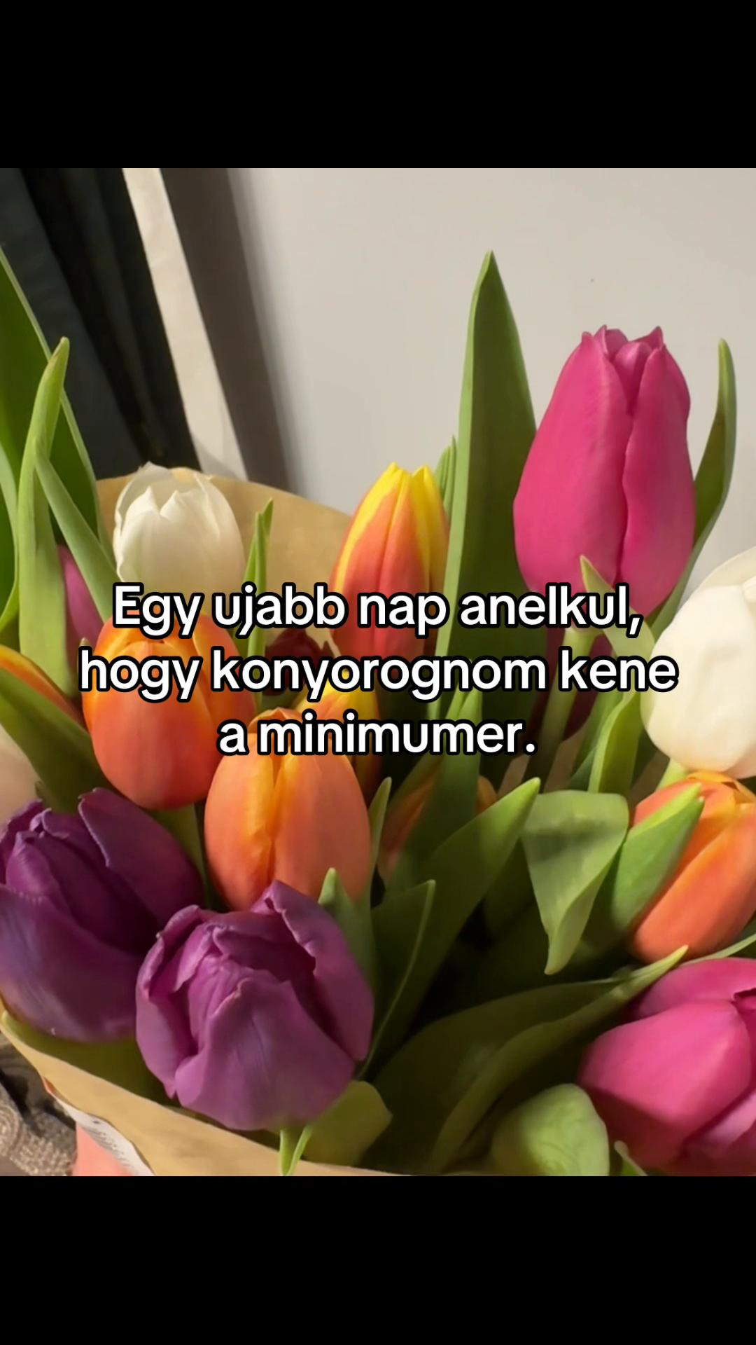 @madaraszkira