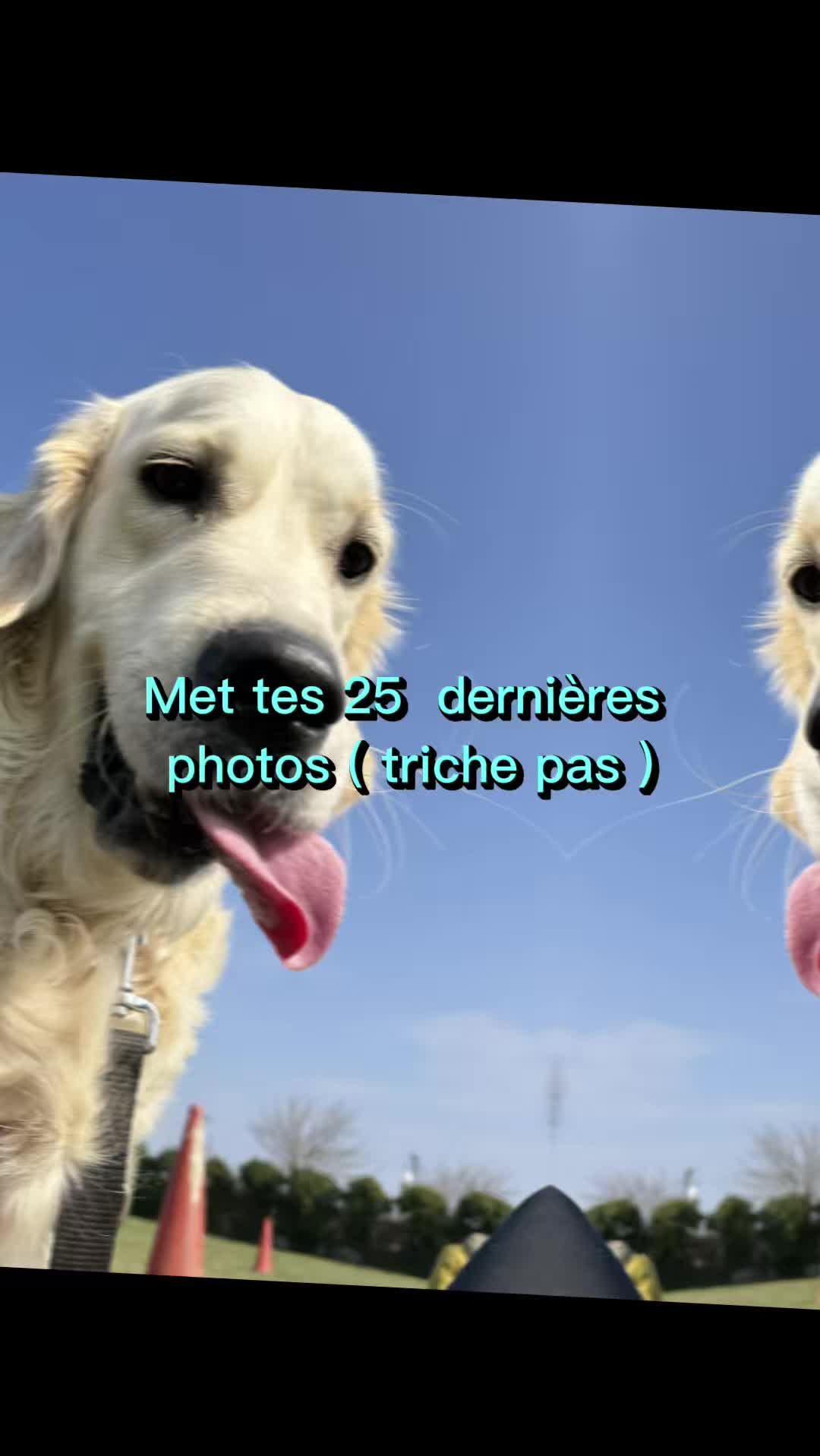 @laurine