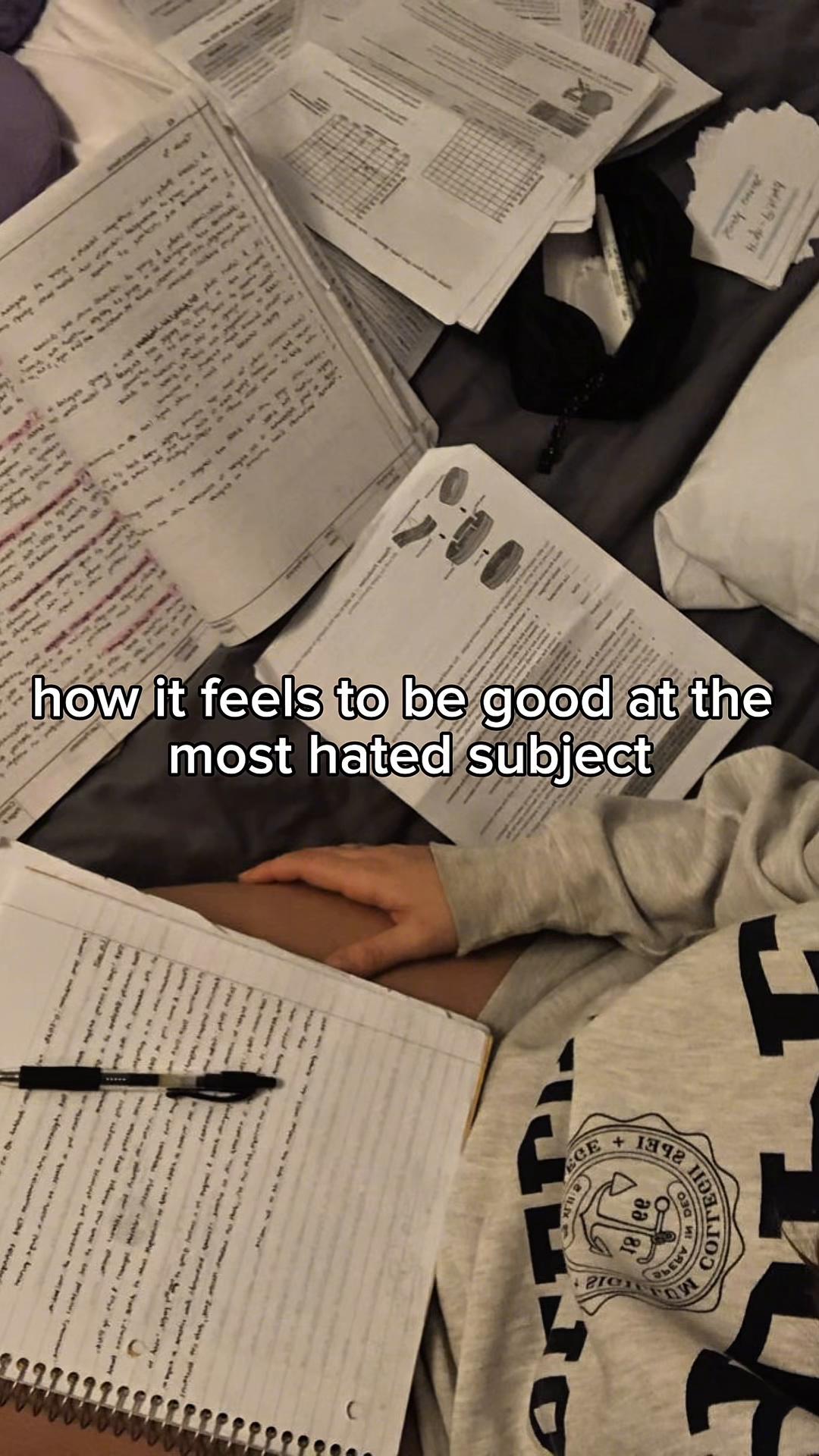 @luzstudy.17