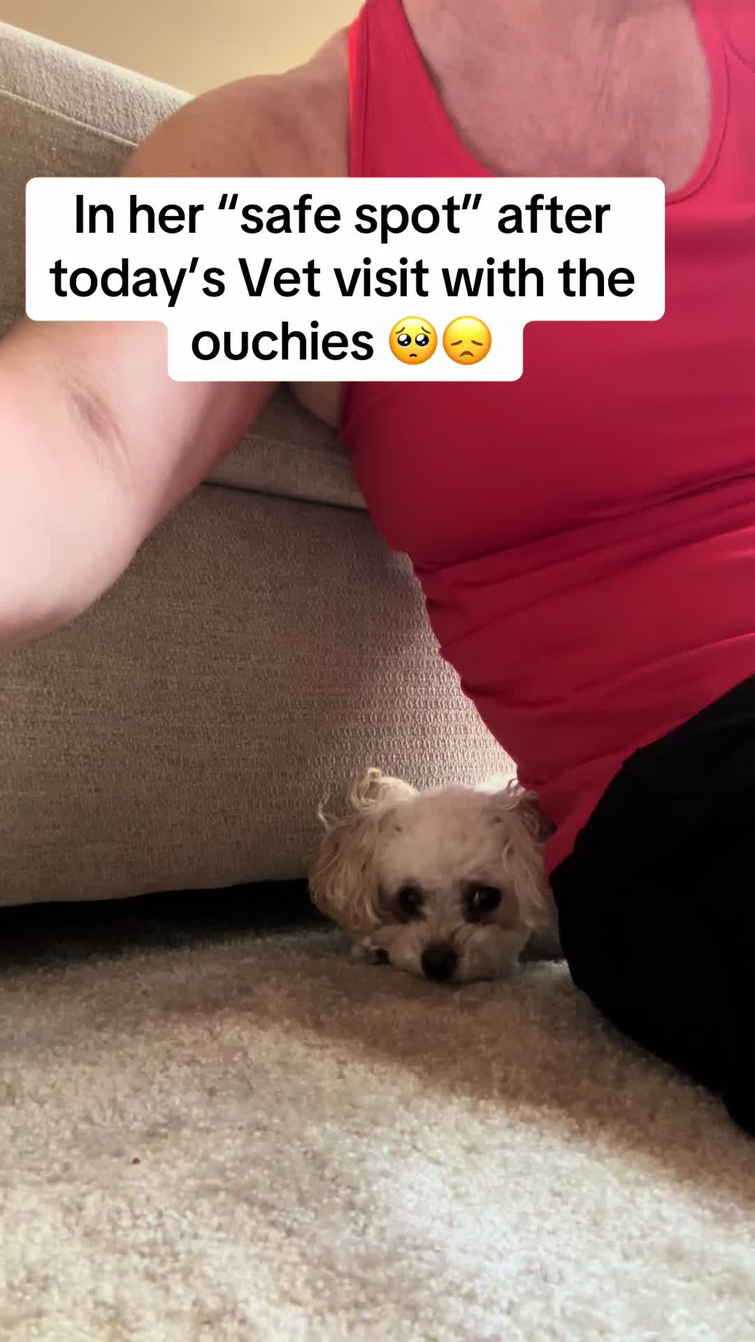 @LilFitPrincess