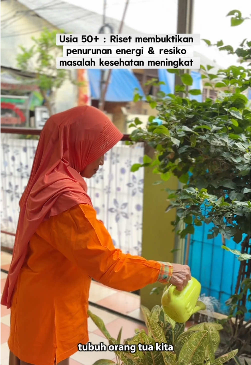 @havika rizhan