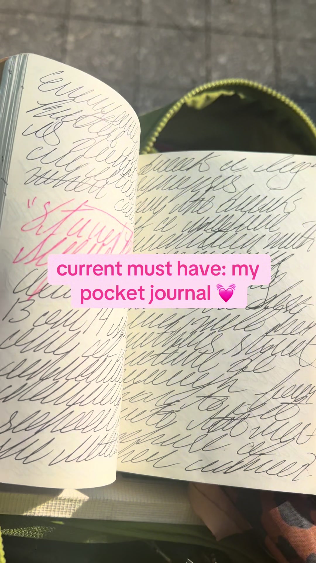 @Dylan | Writer | CC 📚🦋