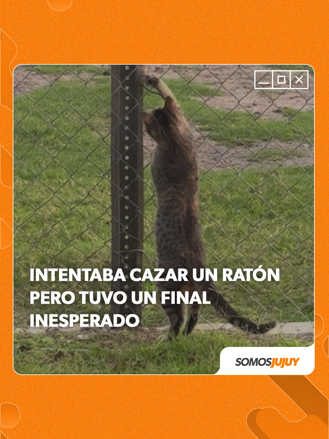 @Somos Jujuy