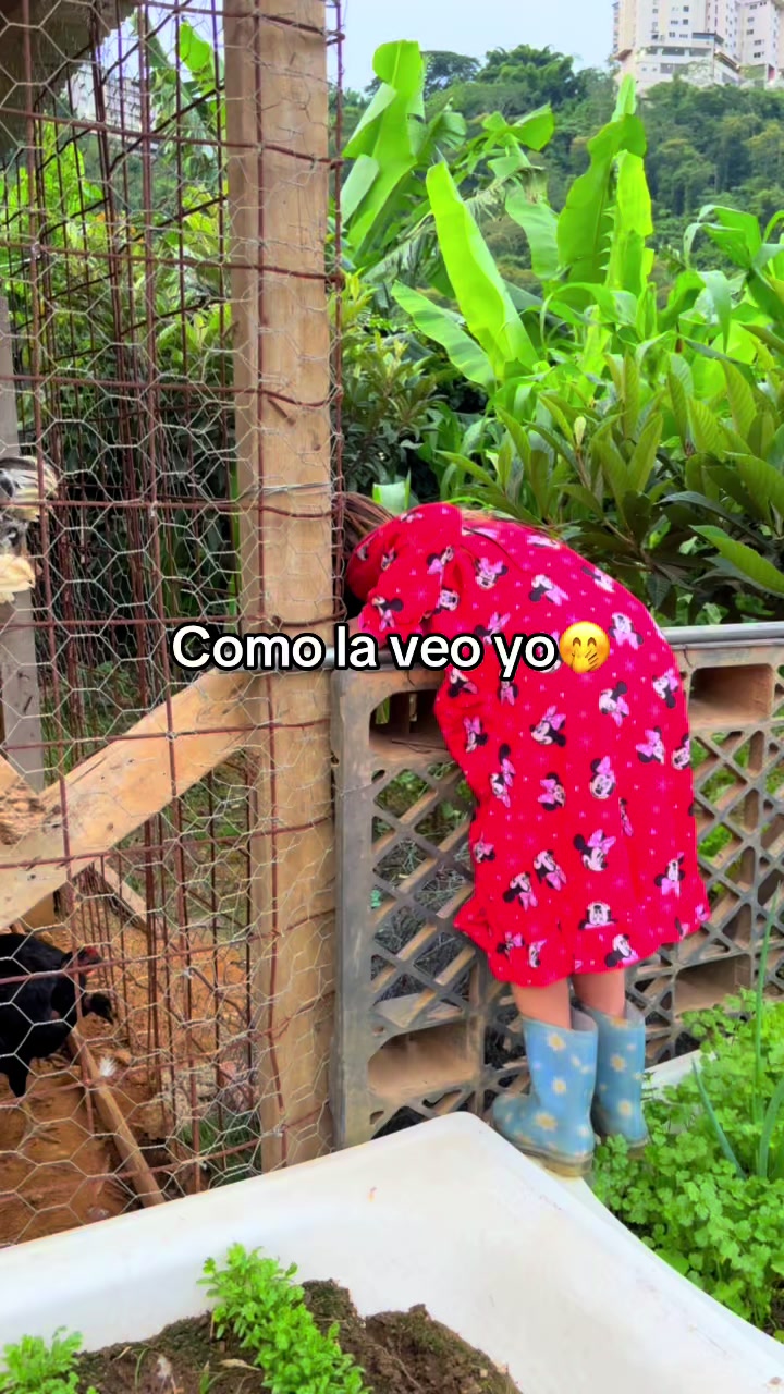 @babyAntonella