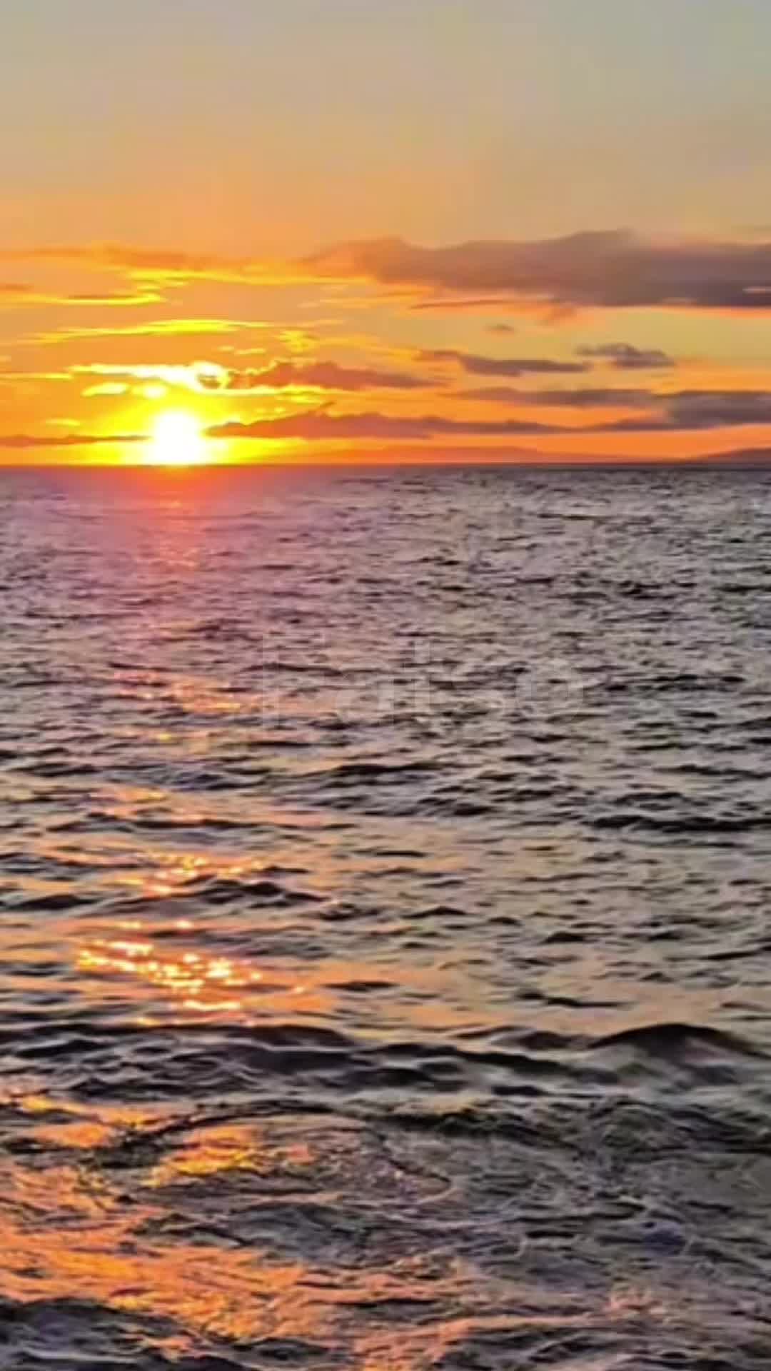 @fatsokauai