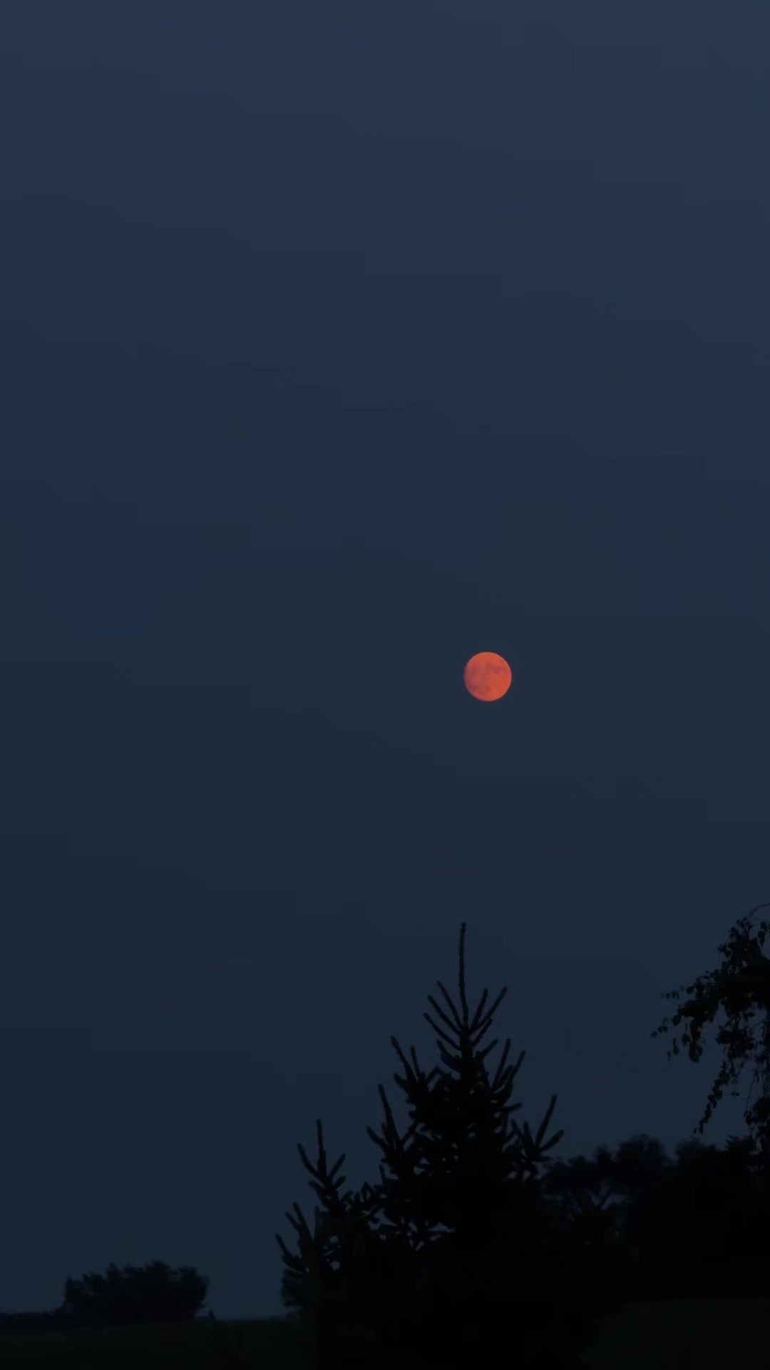 @earthtojazmine