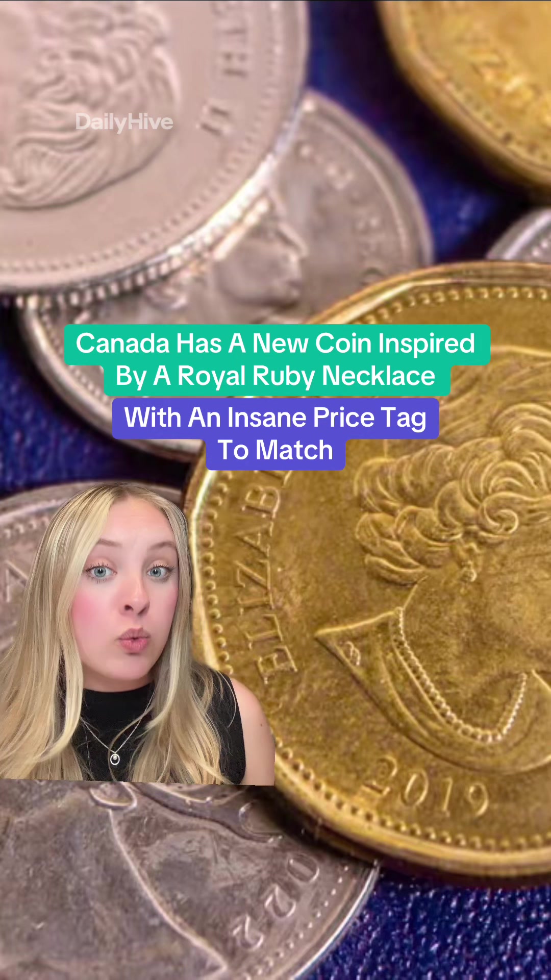 @dailyhivecanada