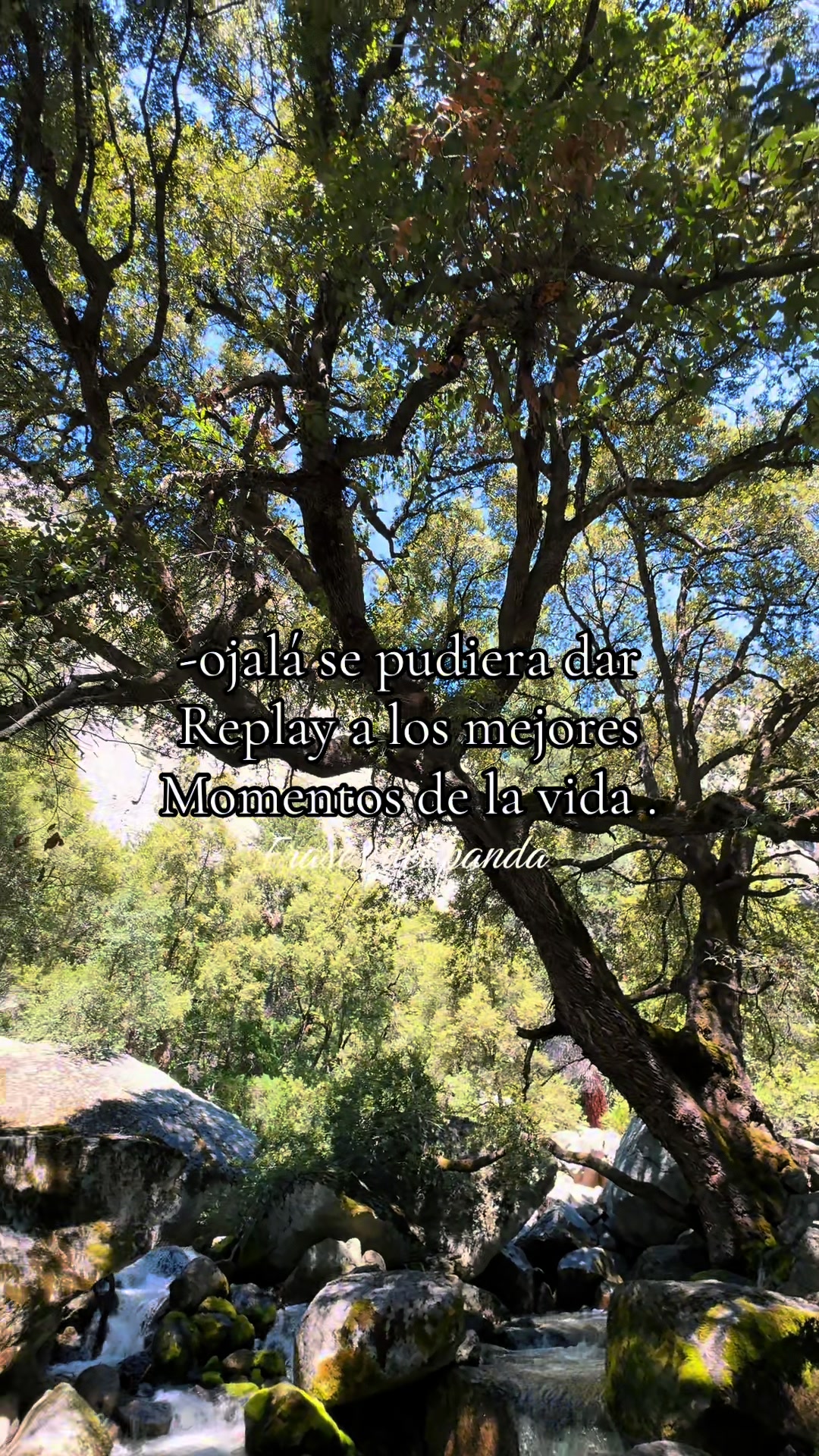 @frases del panda 🥷🏽