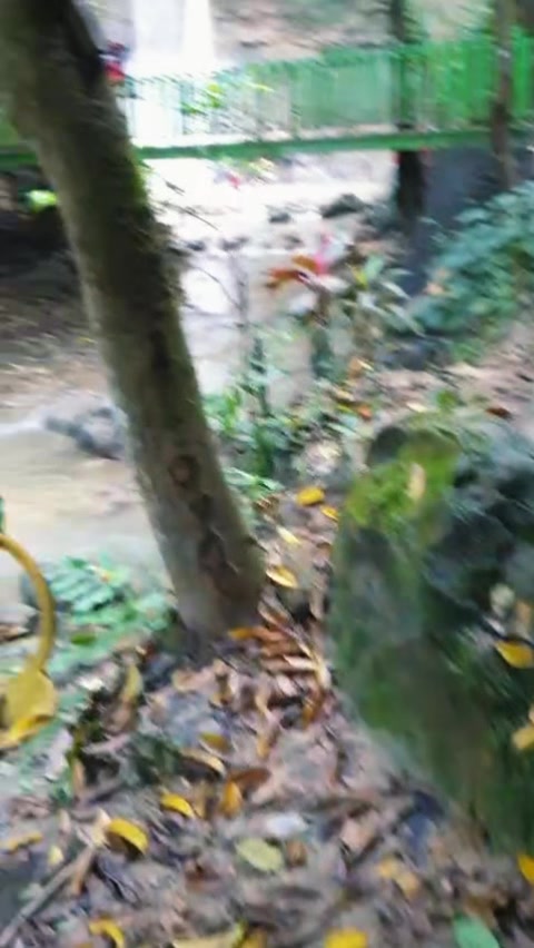 @indasah73