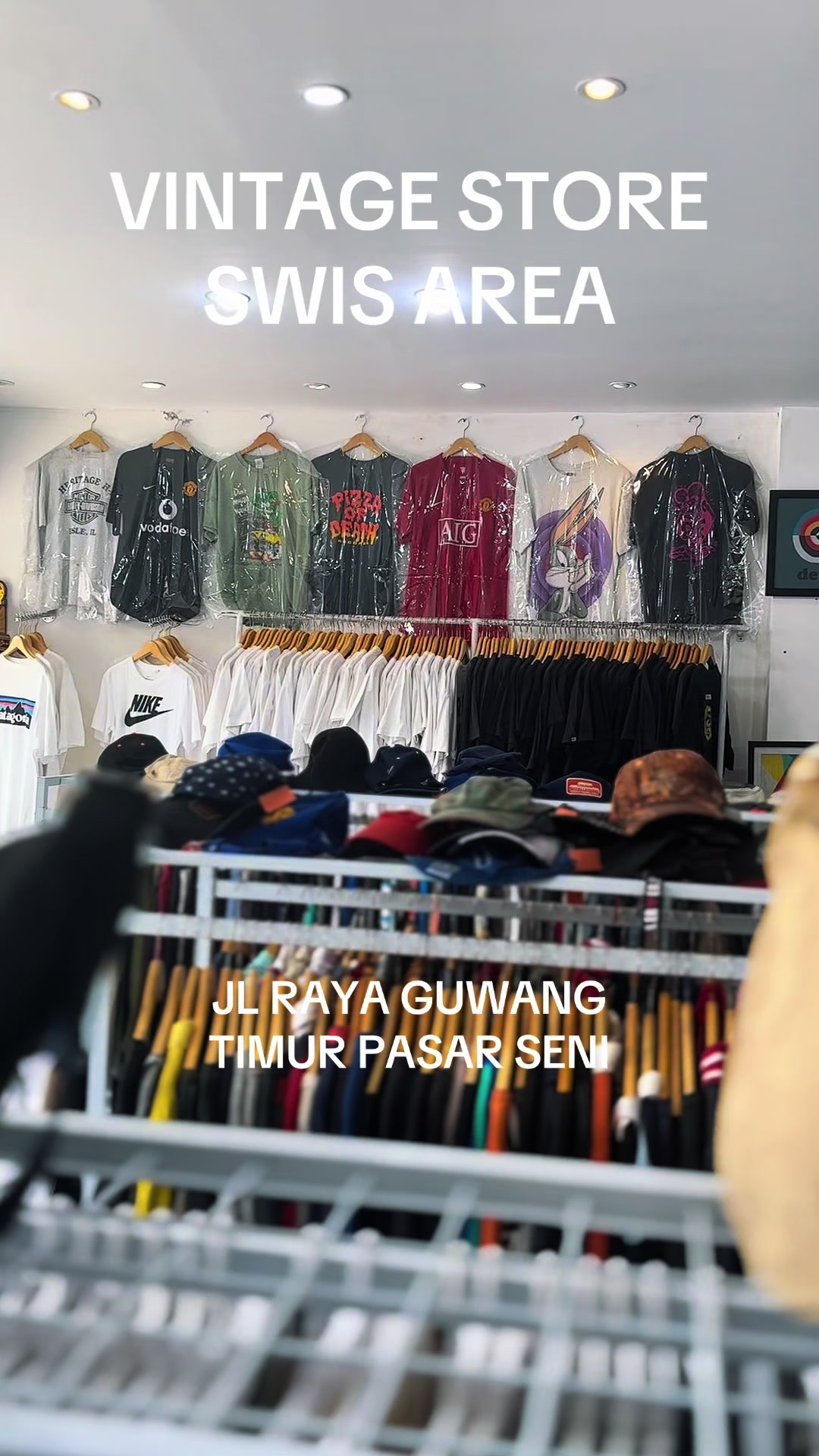 @Twin star