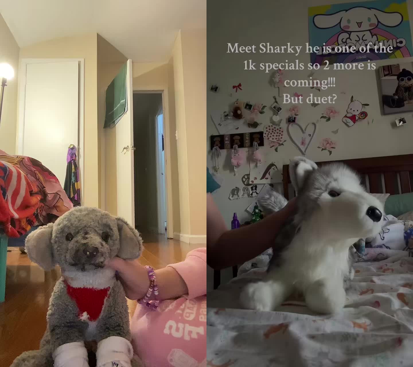 @🐾🎄⛄️Essa owner🎄⛄️🐾