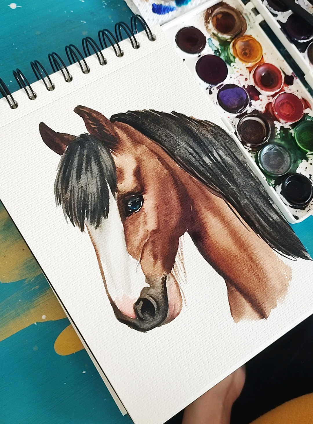@🎨Kate Holloman🌱