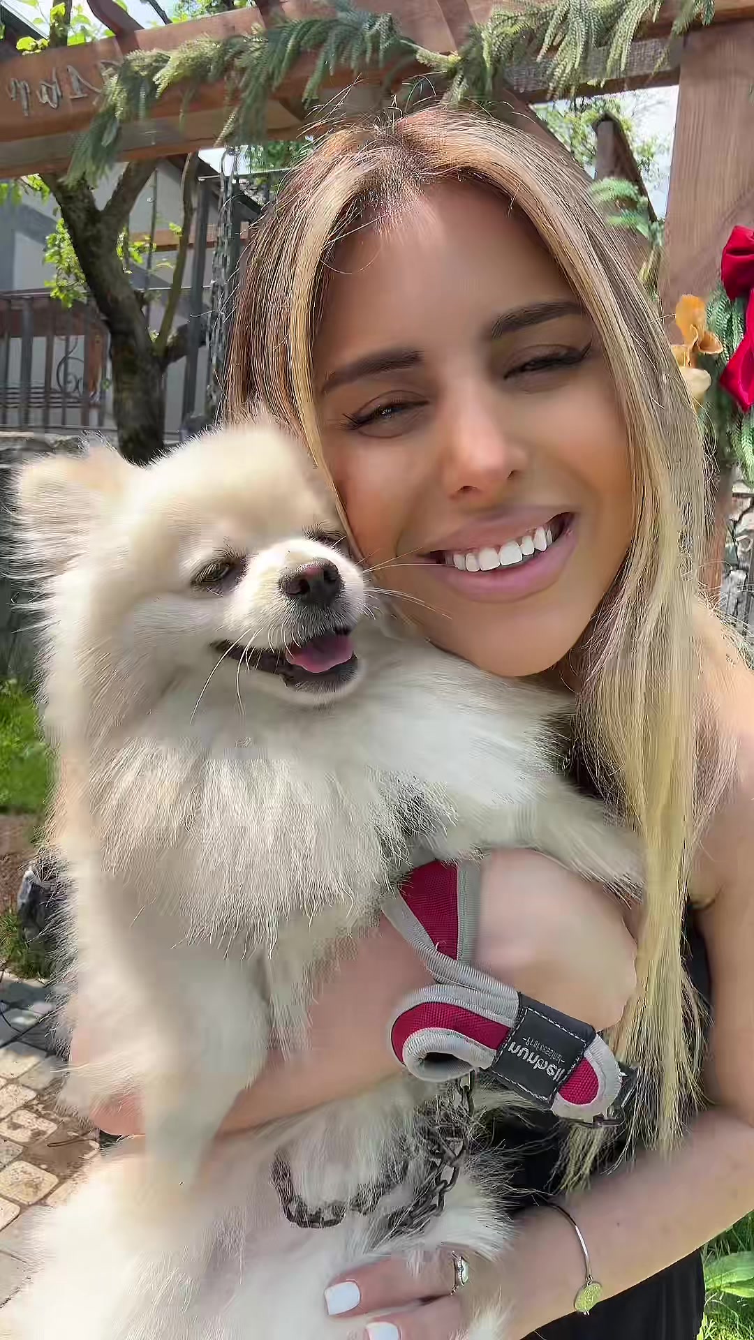 @𝐒𝐘𝐔𝐙