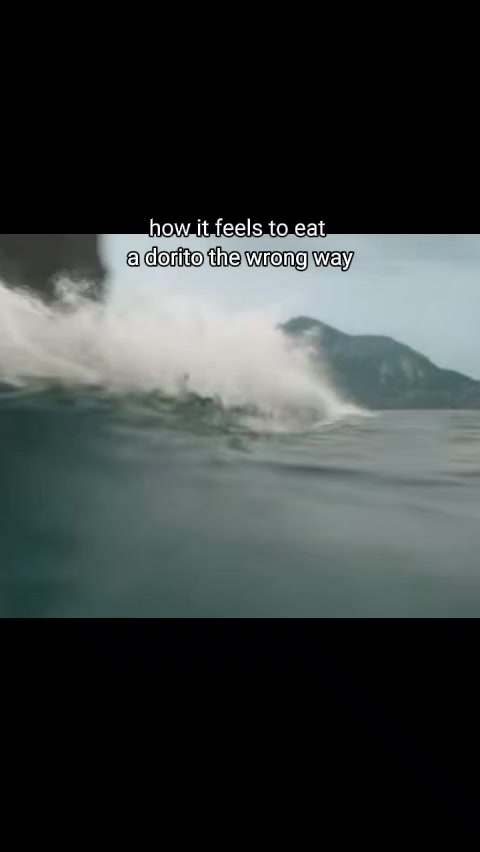 @wlxeditz☑