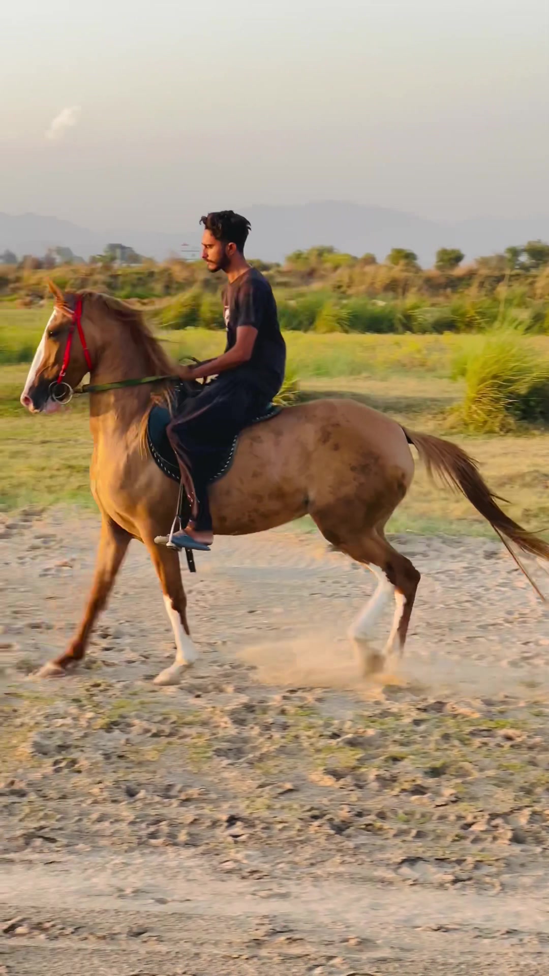 @Ch Hammad bokan ♥️🐎