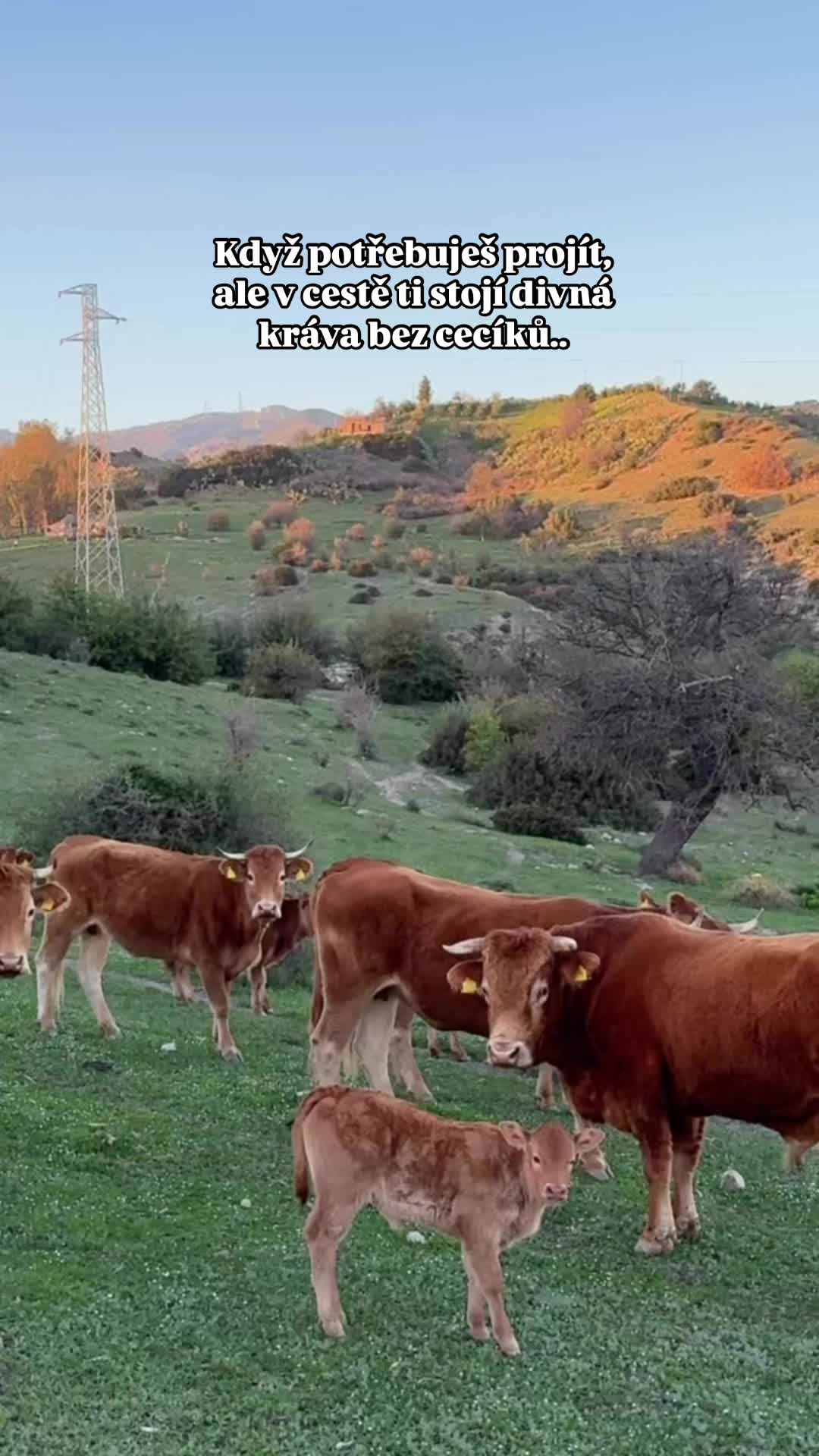 @Zlomatka v It&aacute;lii🇮🇹