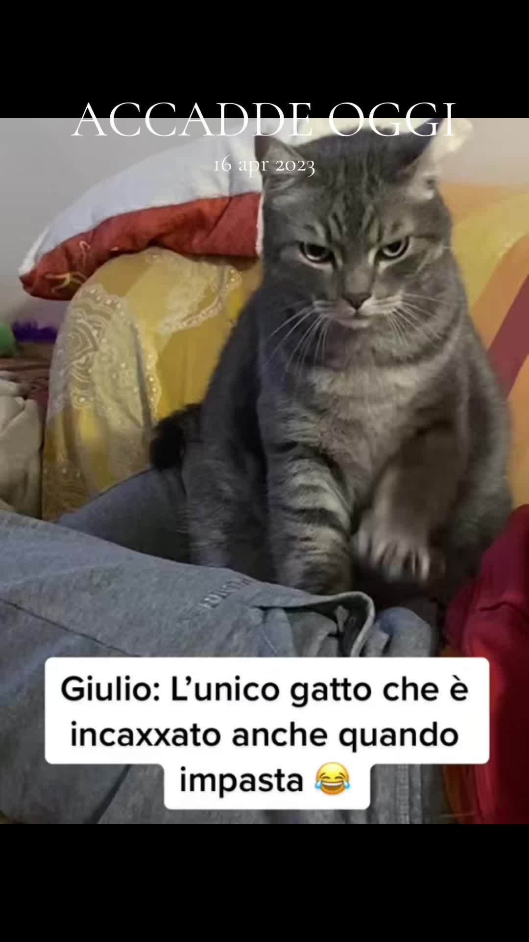 @Mariolover and friends