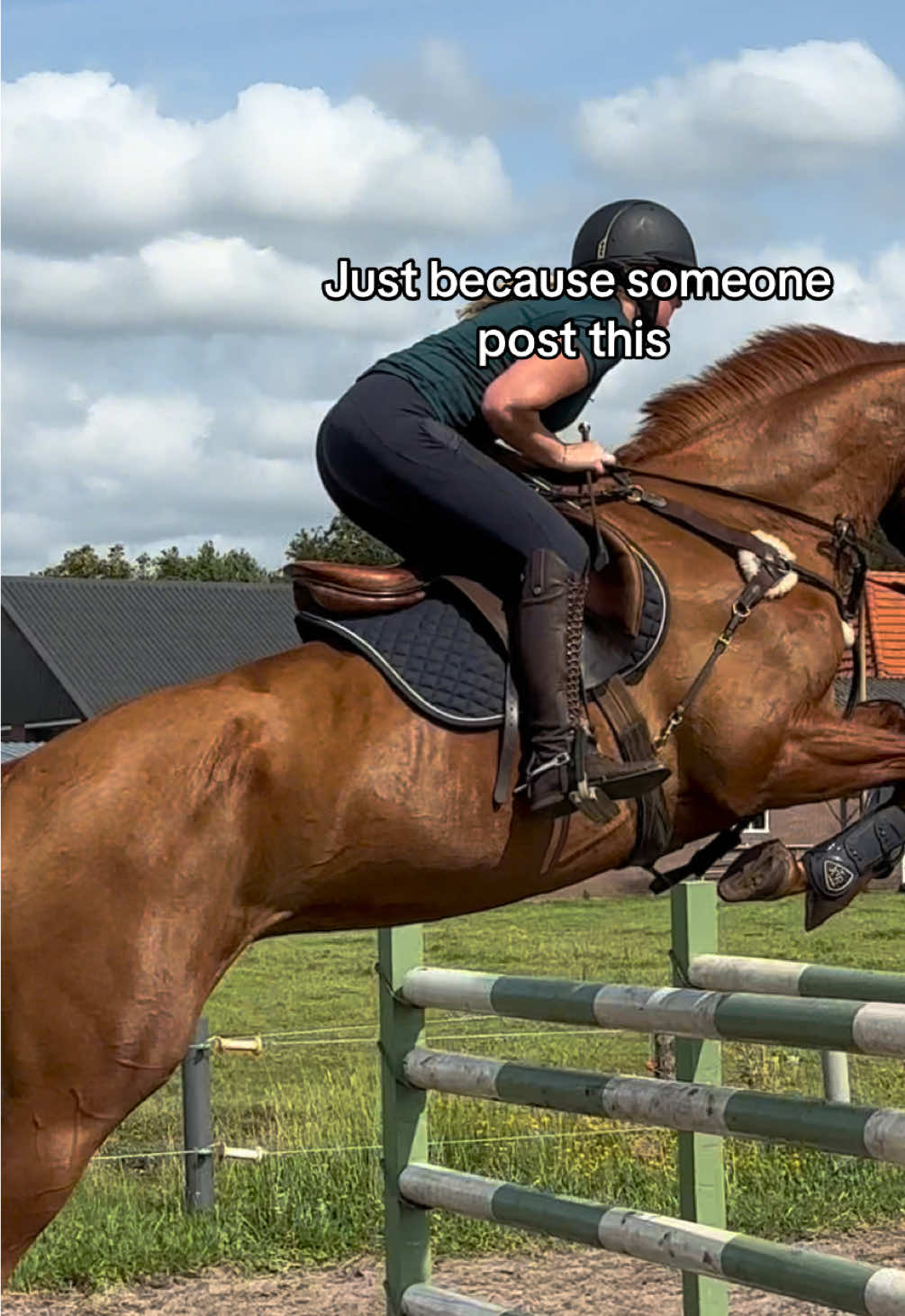 @Melissa Krale
