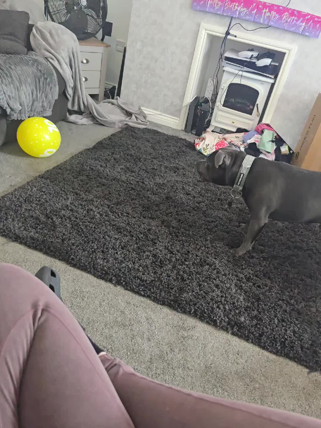 @𝕆𝕕𝕚𝕟🐾