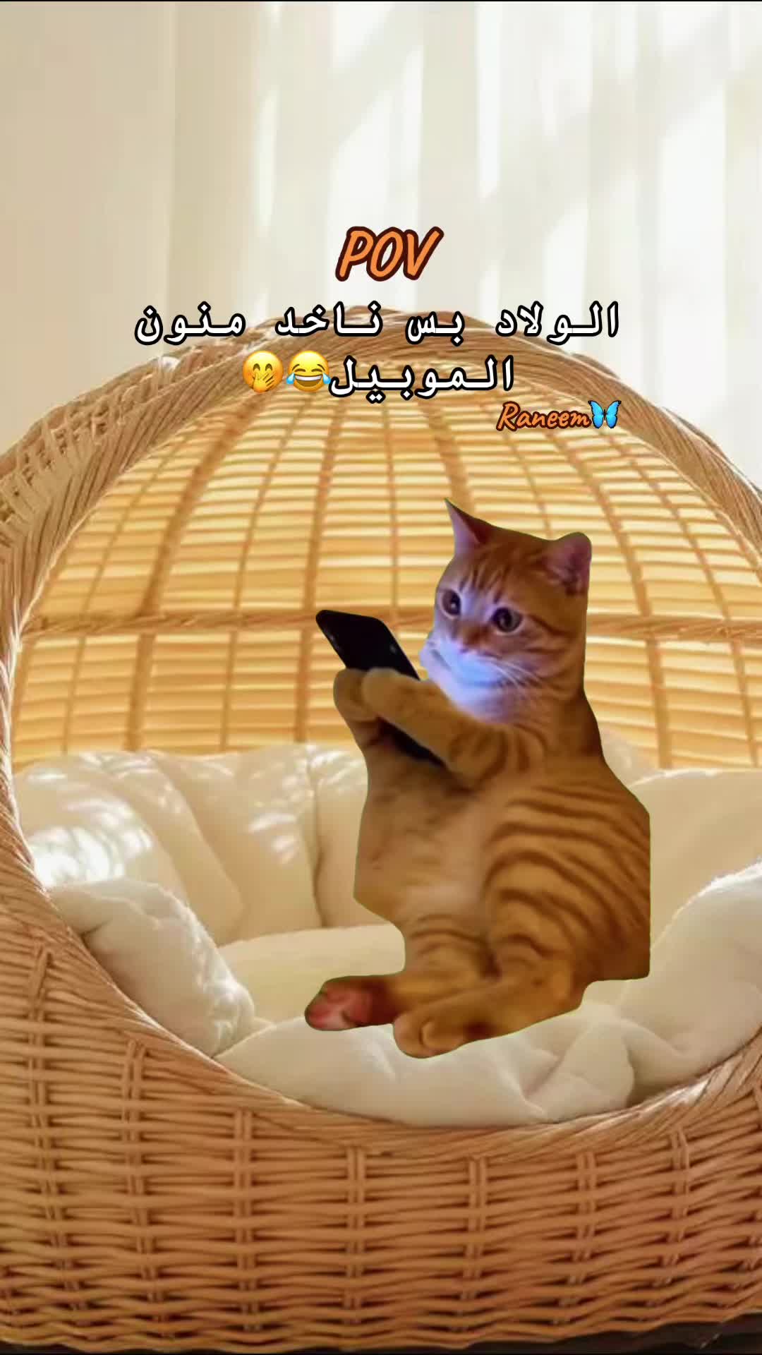 @Raneem Jokhadar