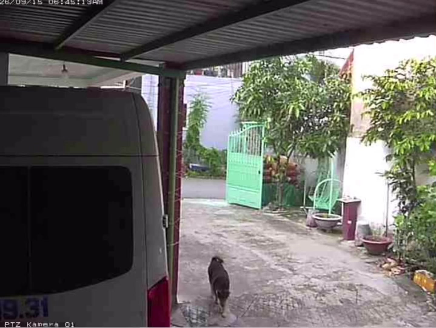 @SNP-webcamNP