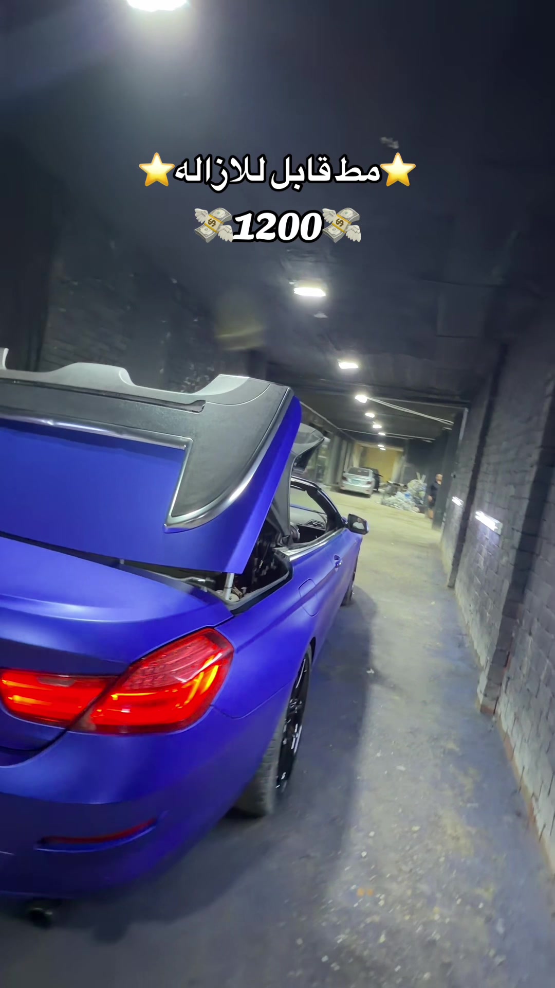 @Viper 🐍