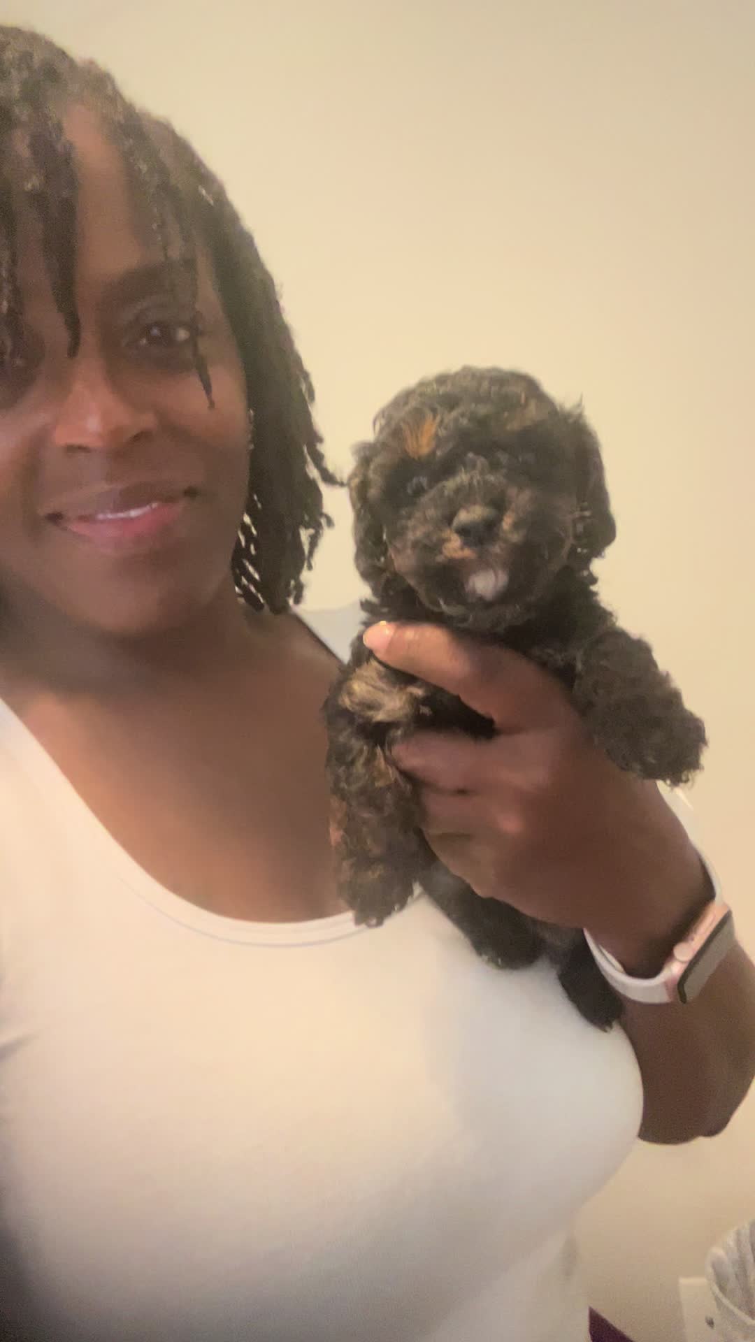 @Shortcake_kennel_2