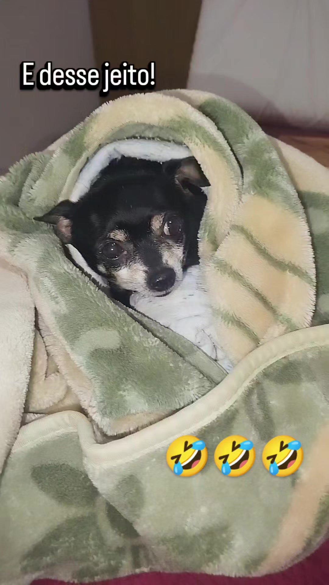 @vanetinhadotiktok
