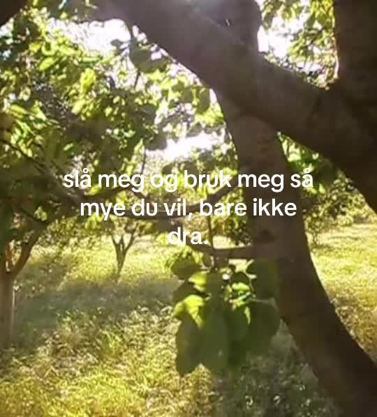 @r&aring;tten mango
