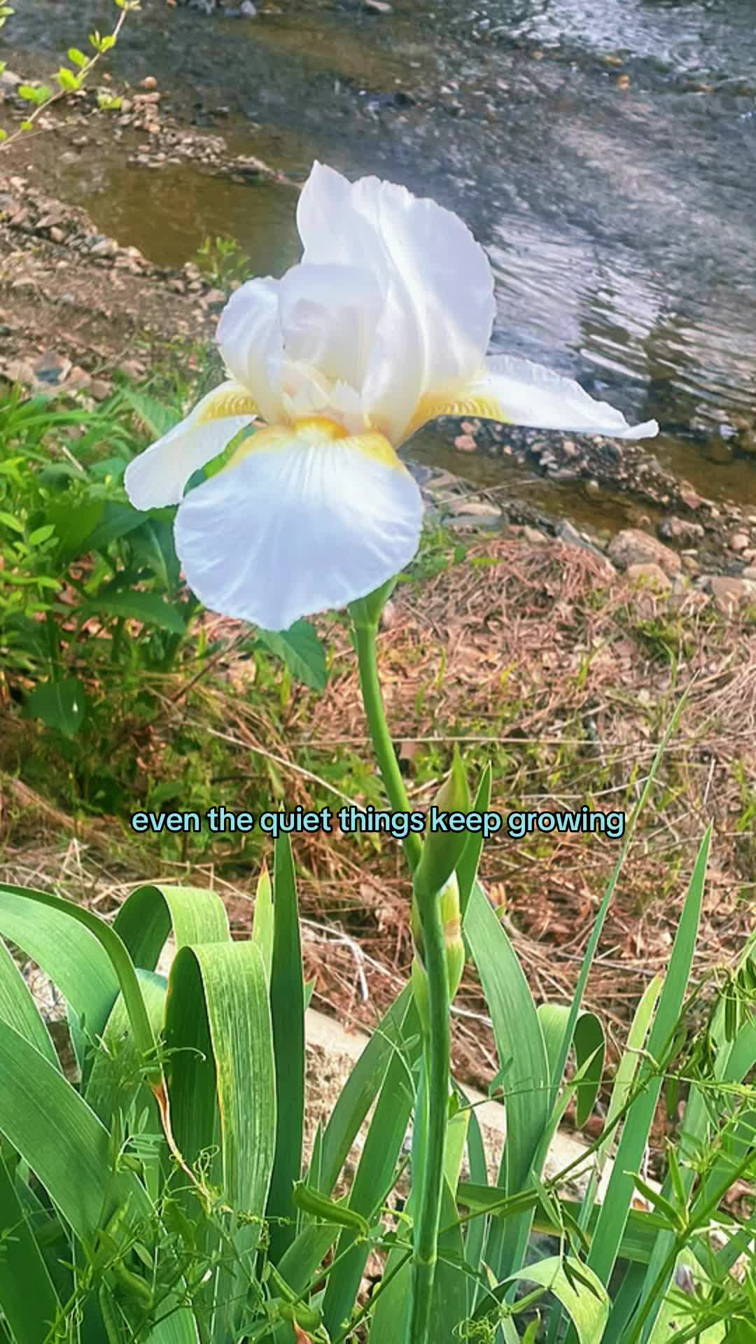 @Well Watered Heart