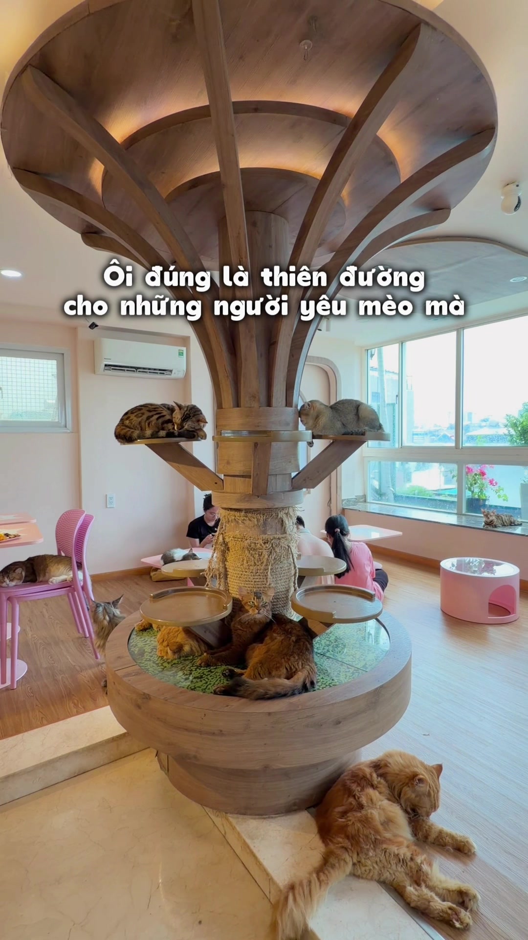 @Kita nèeee 💁🏻♀️