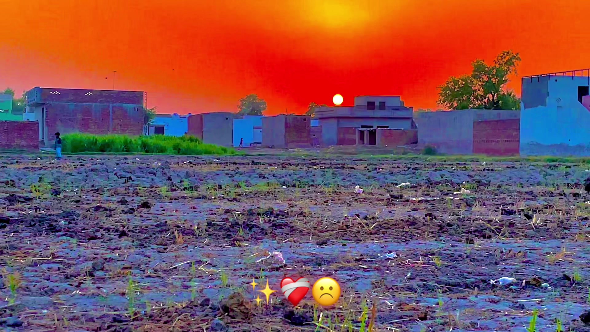 @🌱اویس میئو😎