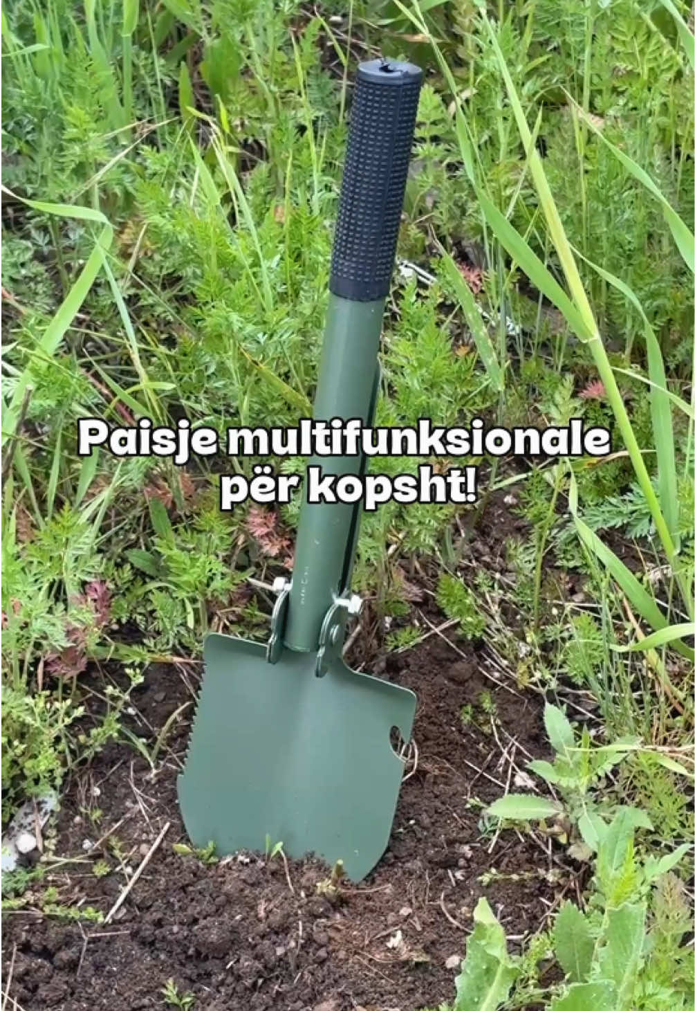 @Euroland
