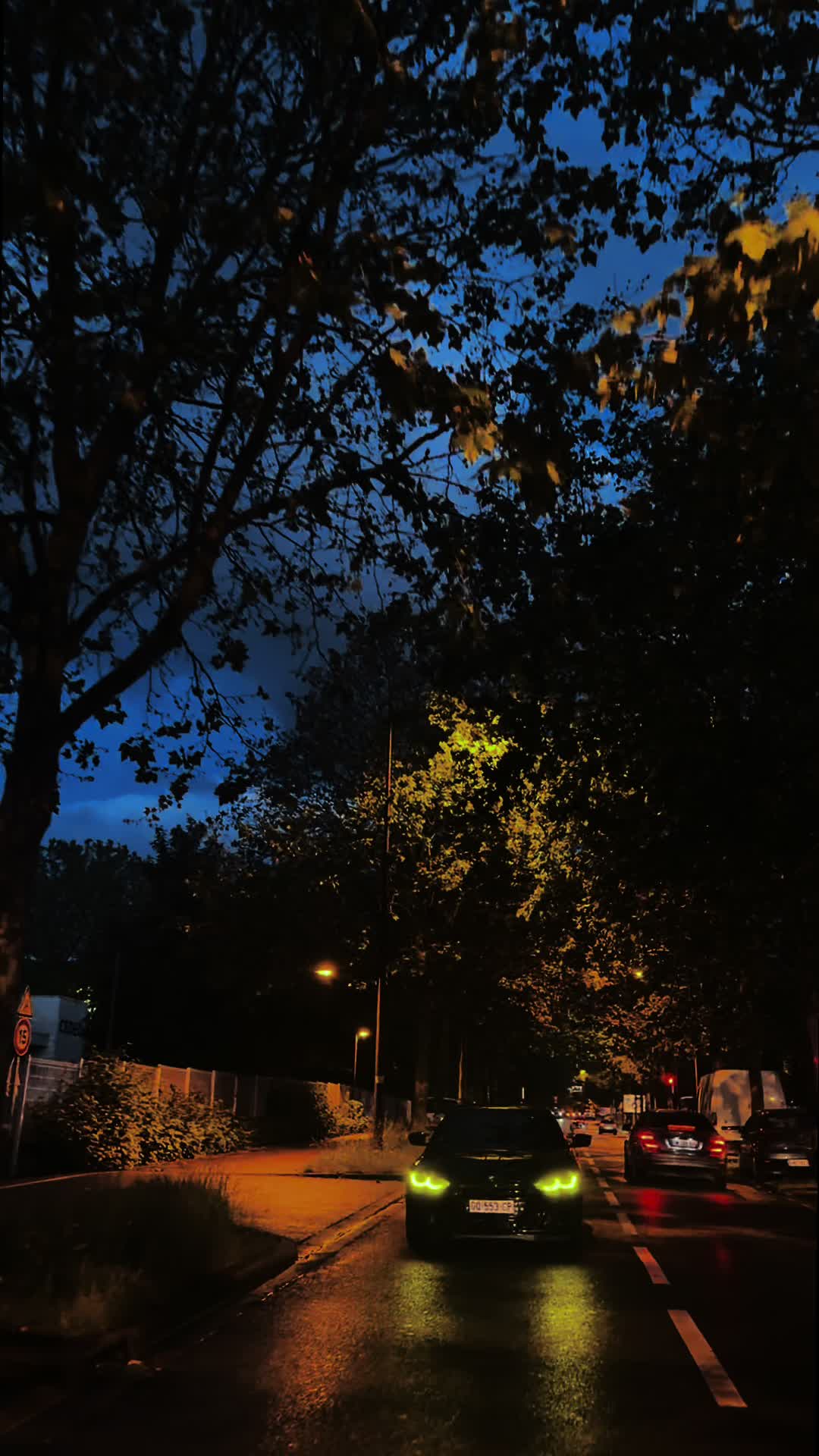 @_ 𝐃𝐱𝐯𝐨.🪬