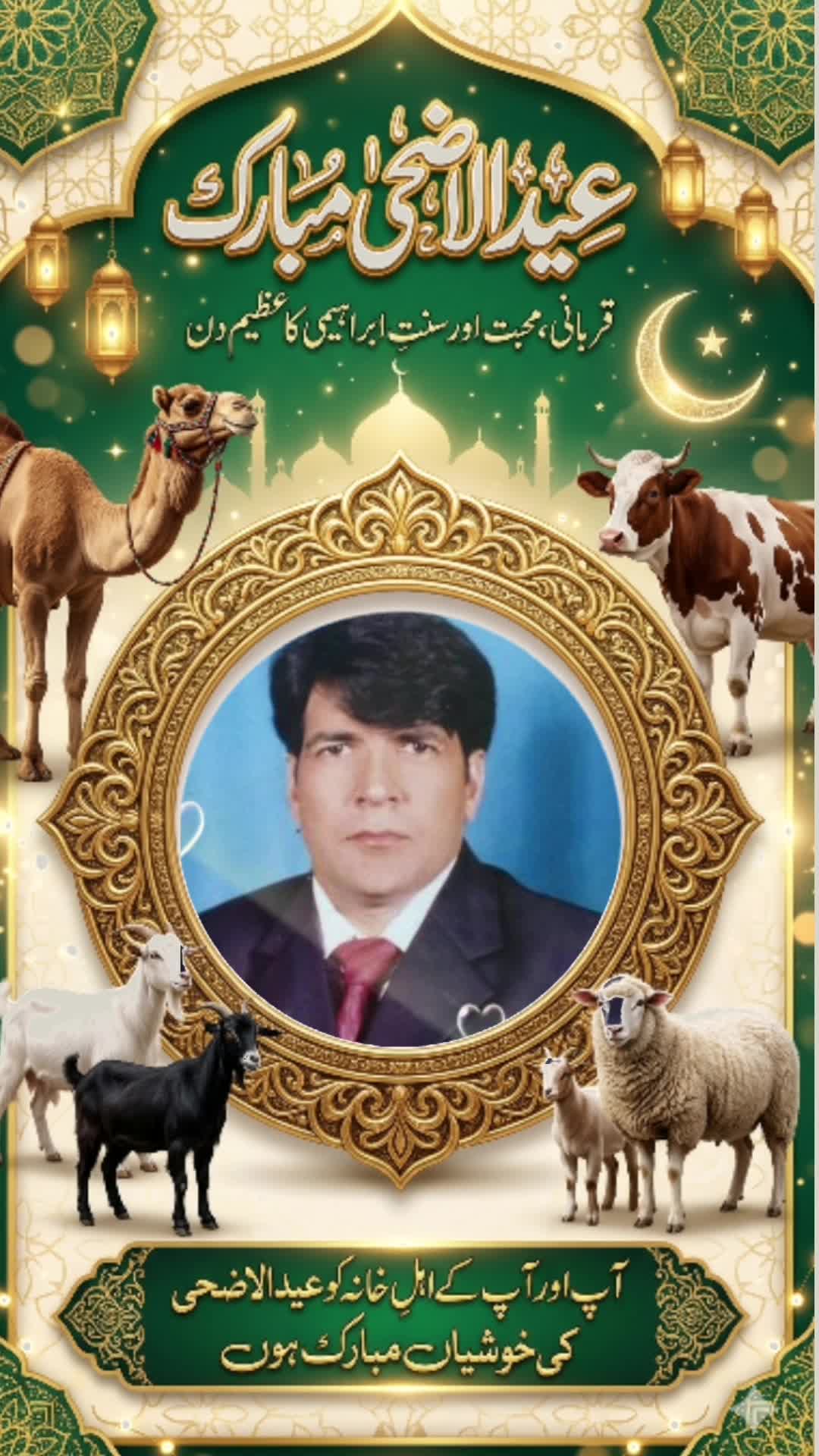 @Shafaqat Ali Arzoo