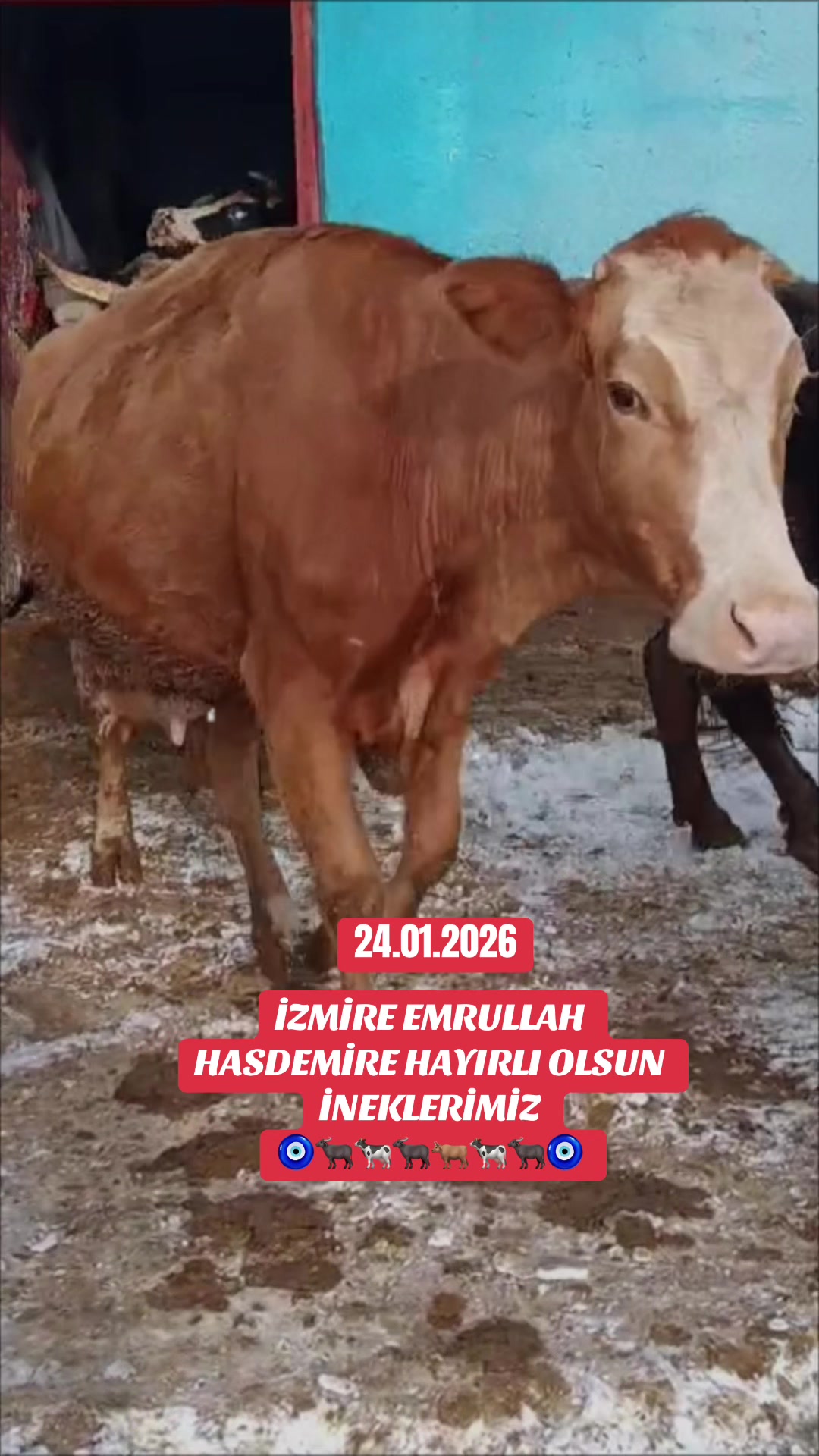 @Erhan Hasdemir