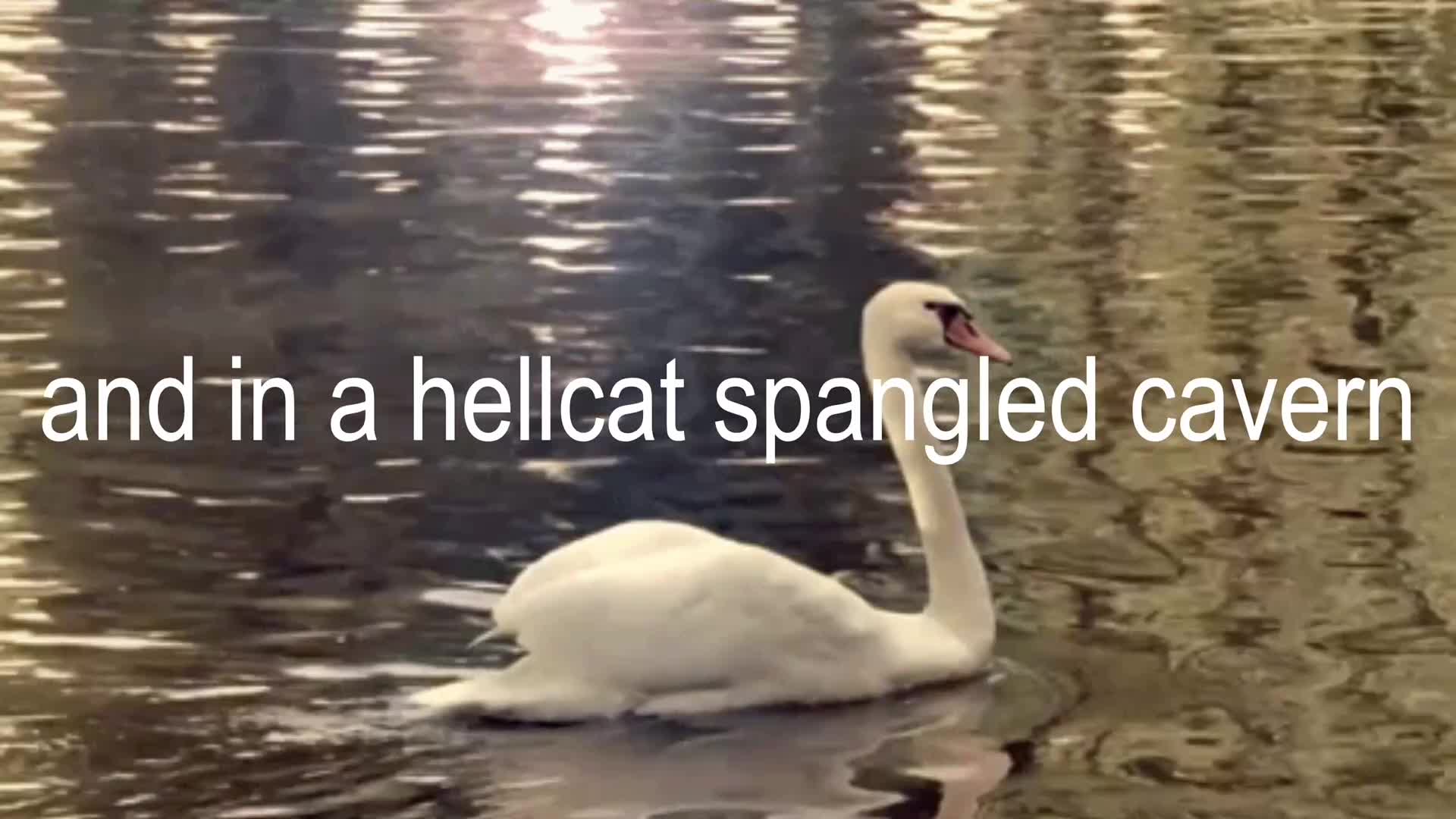 @humbugzz