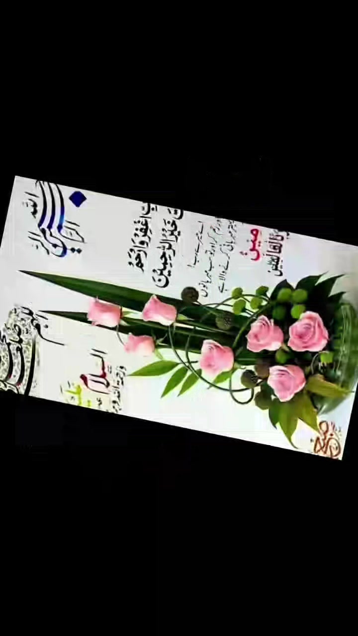 @malikmalik Yunus