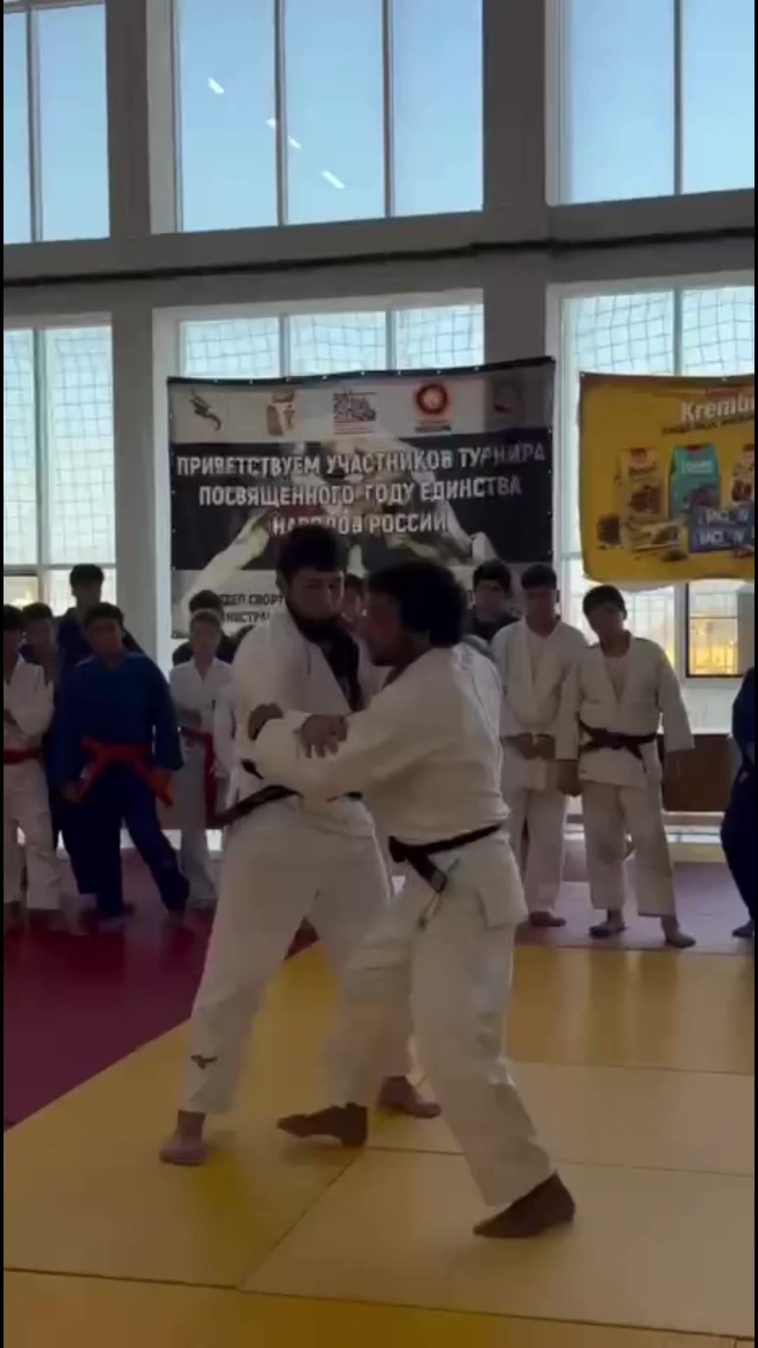 @mir_judo