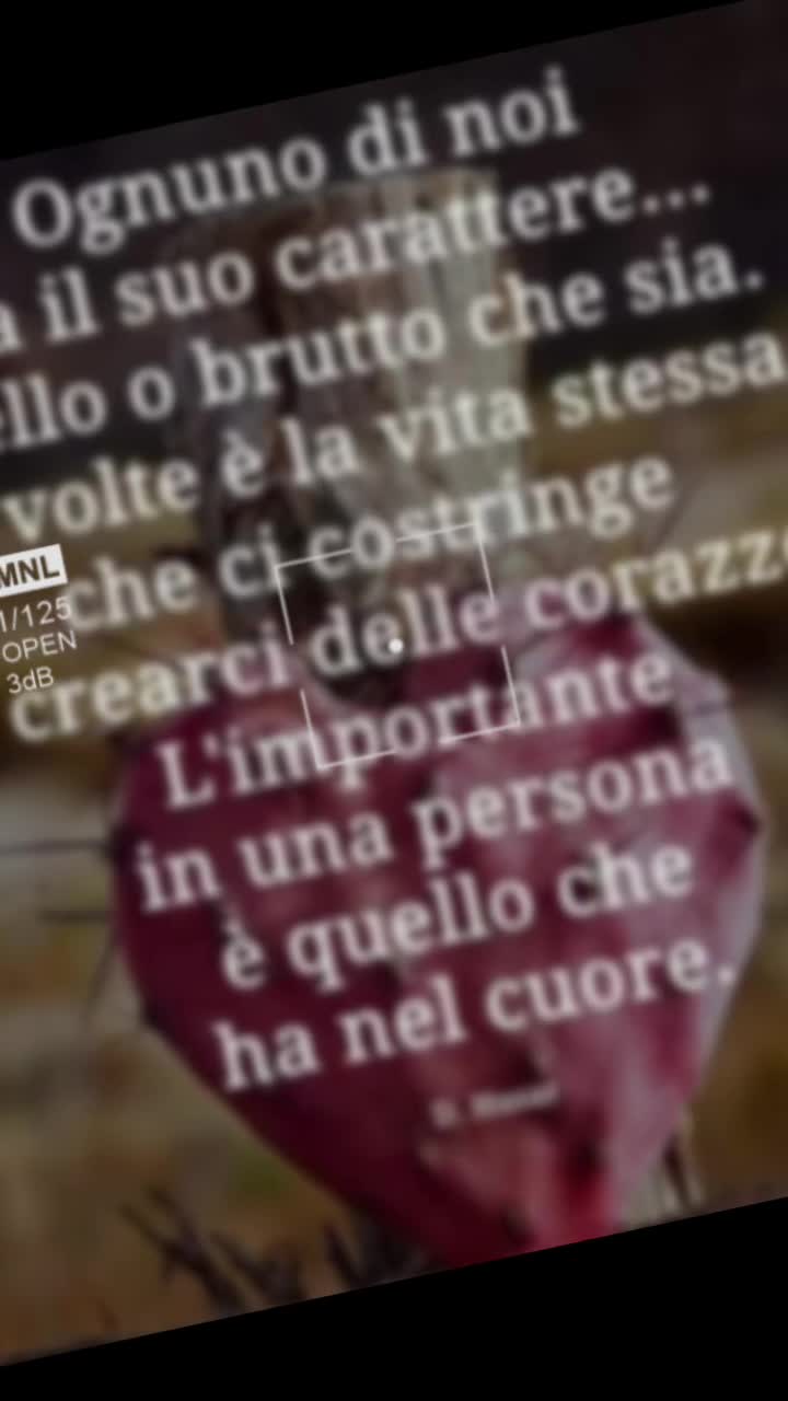 @silvanapuleo