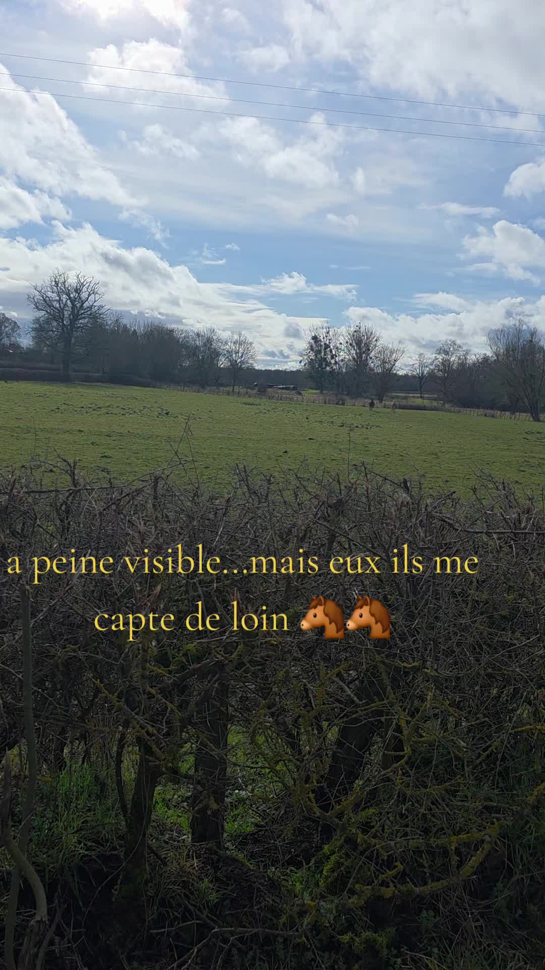 @chouchoulie21