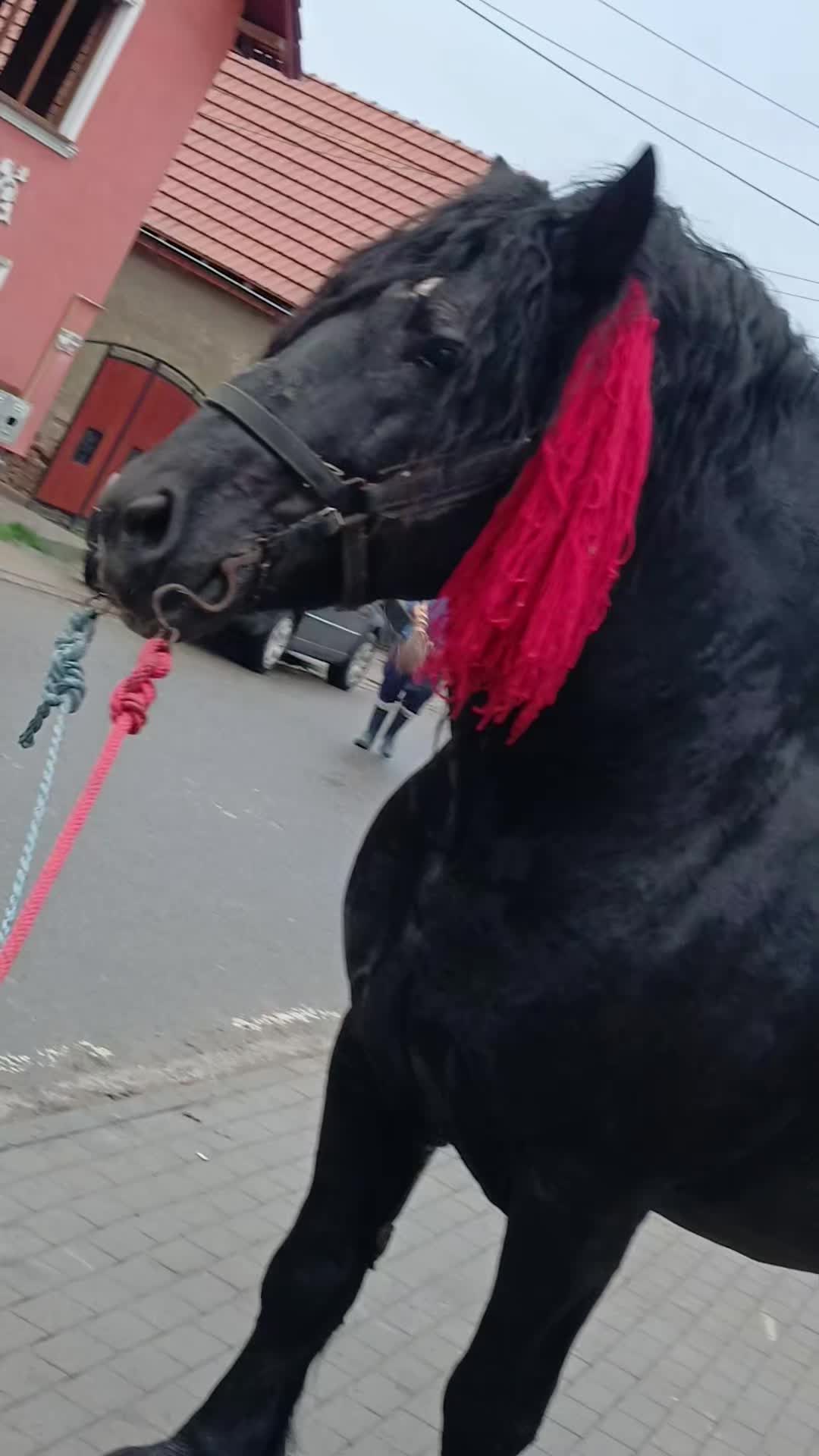 @😈 ilie...velțan.30😈